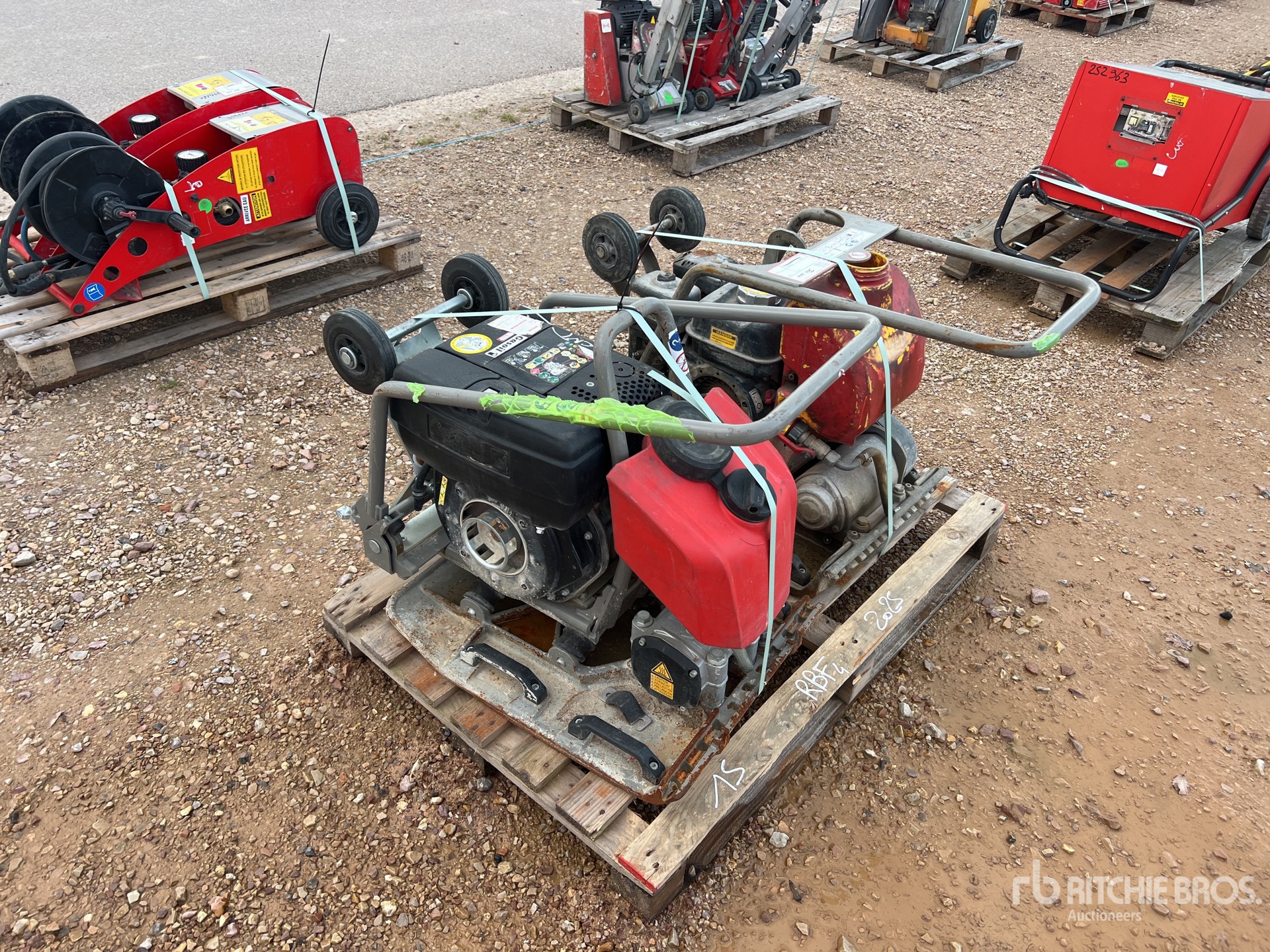 General Appearance with 