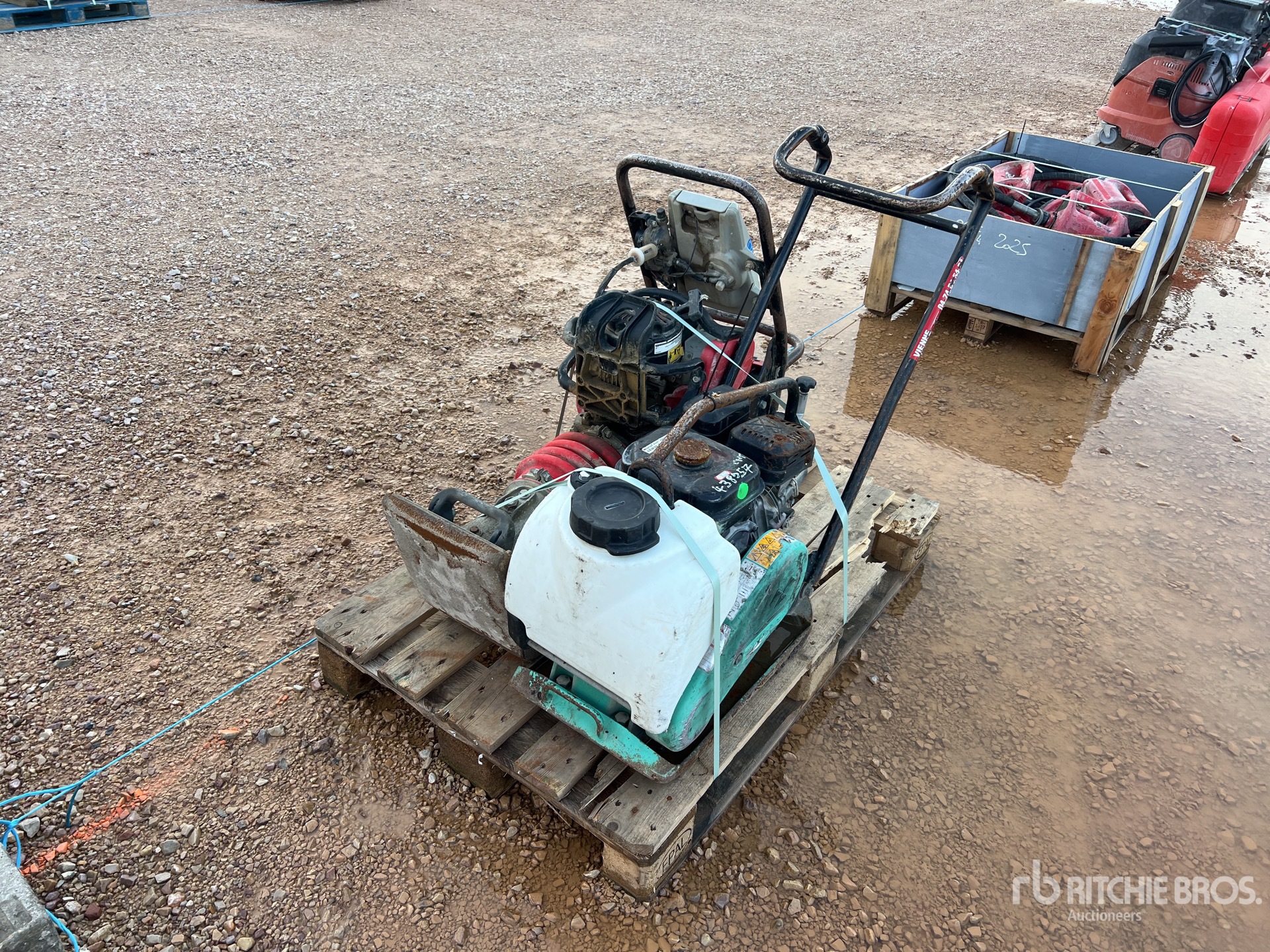 General Appearance with 