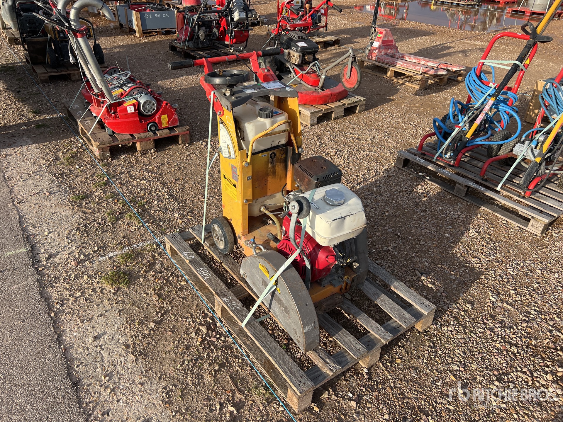 General Appearance with 