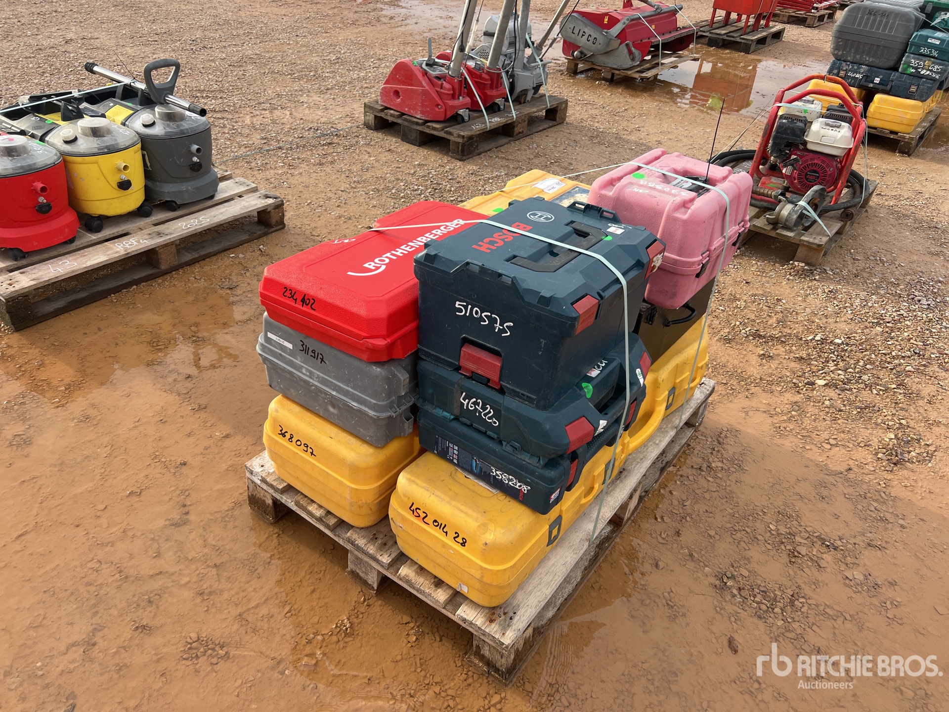 General Appearance with 