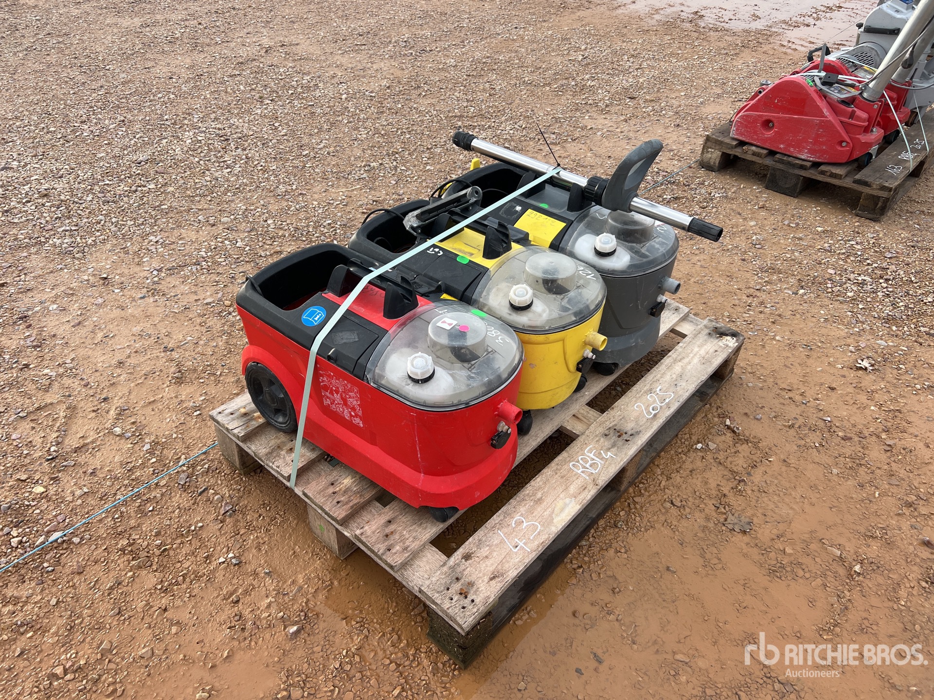 General Appearance with 