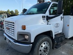 General Appearance with Paint