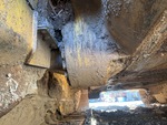 Undercarriage with Pivot Shafts