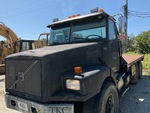 General Appearance with Paint