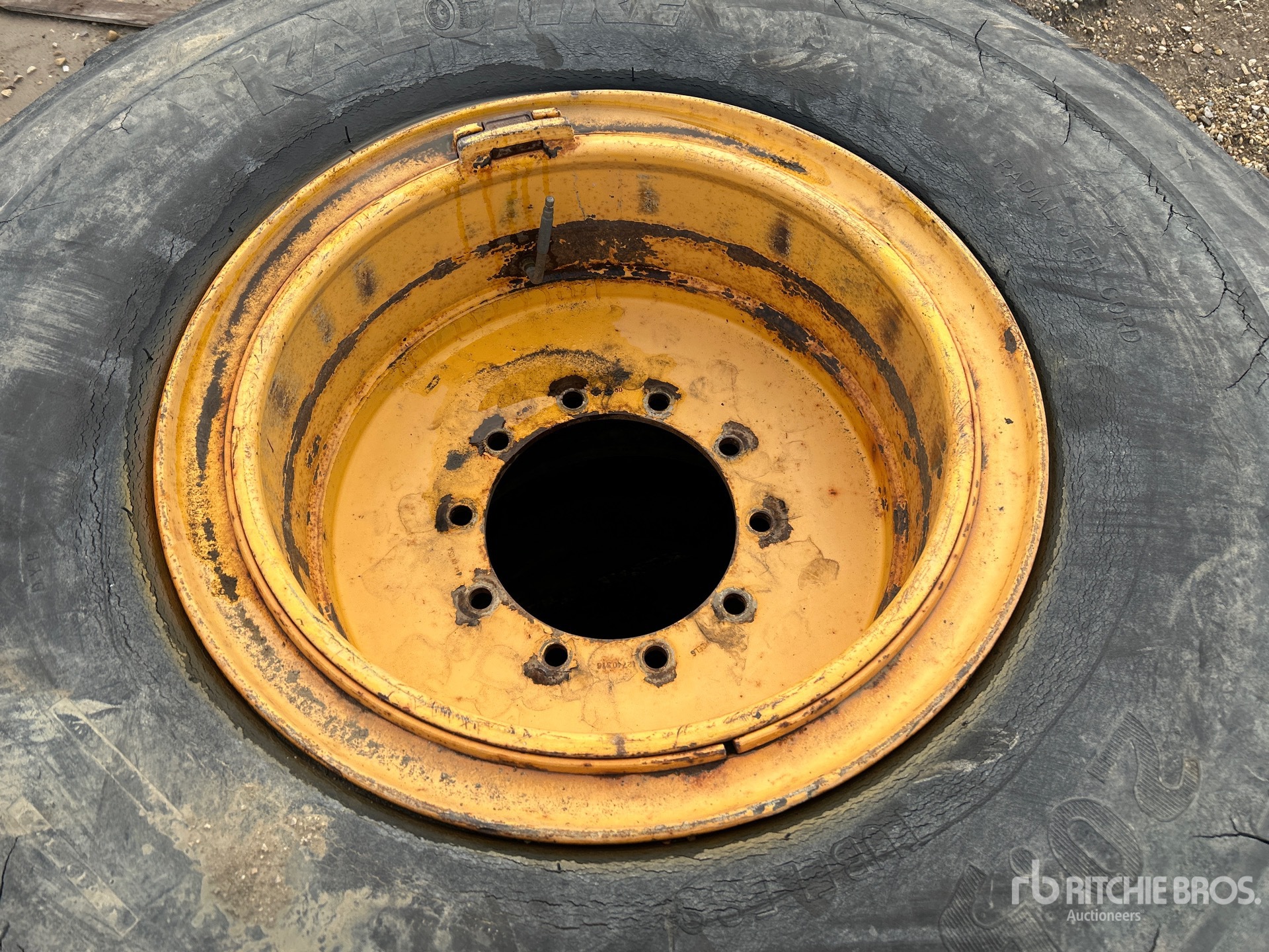 General Appearance with 