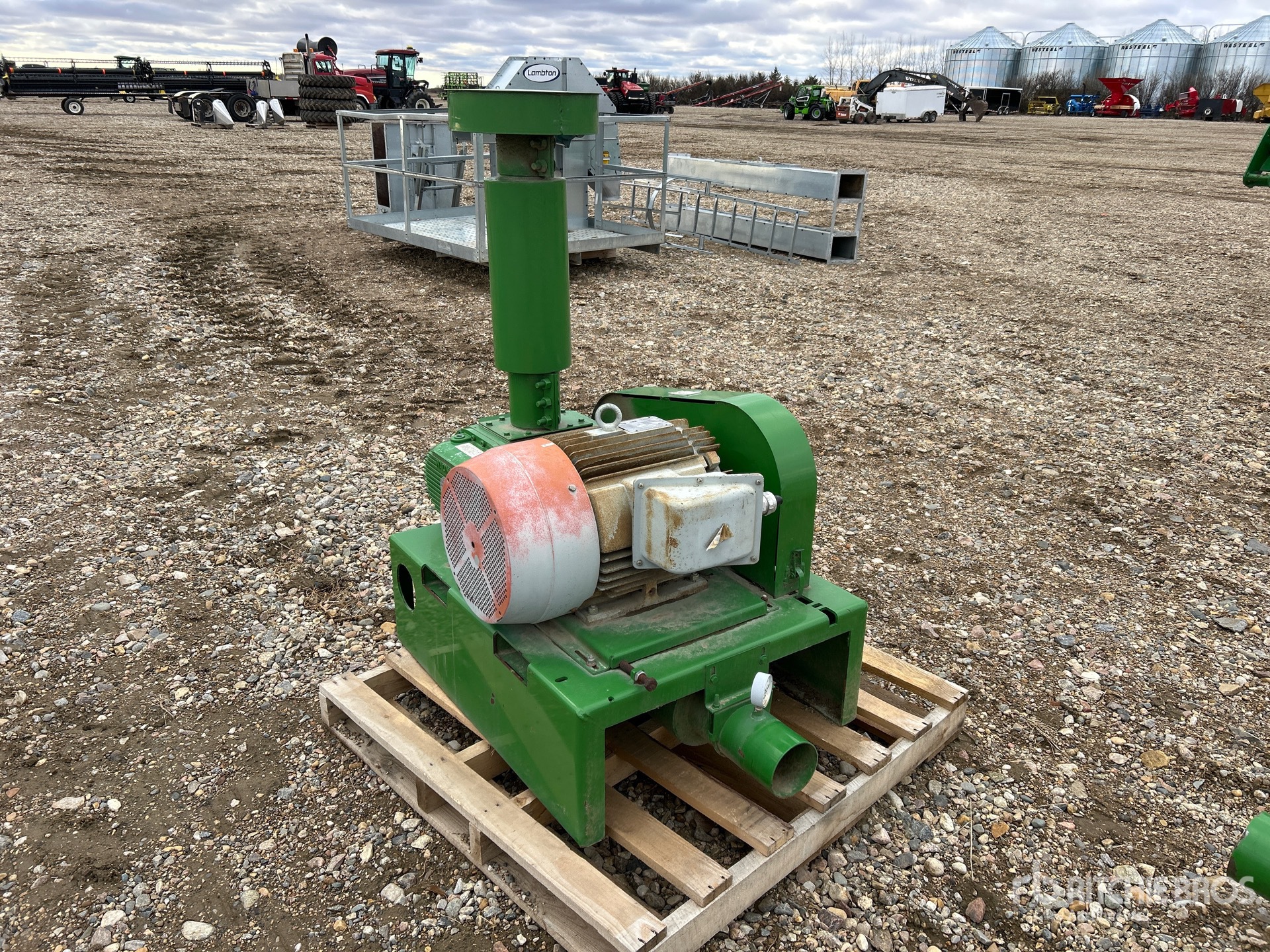 General Appearance with