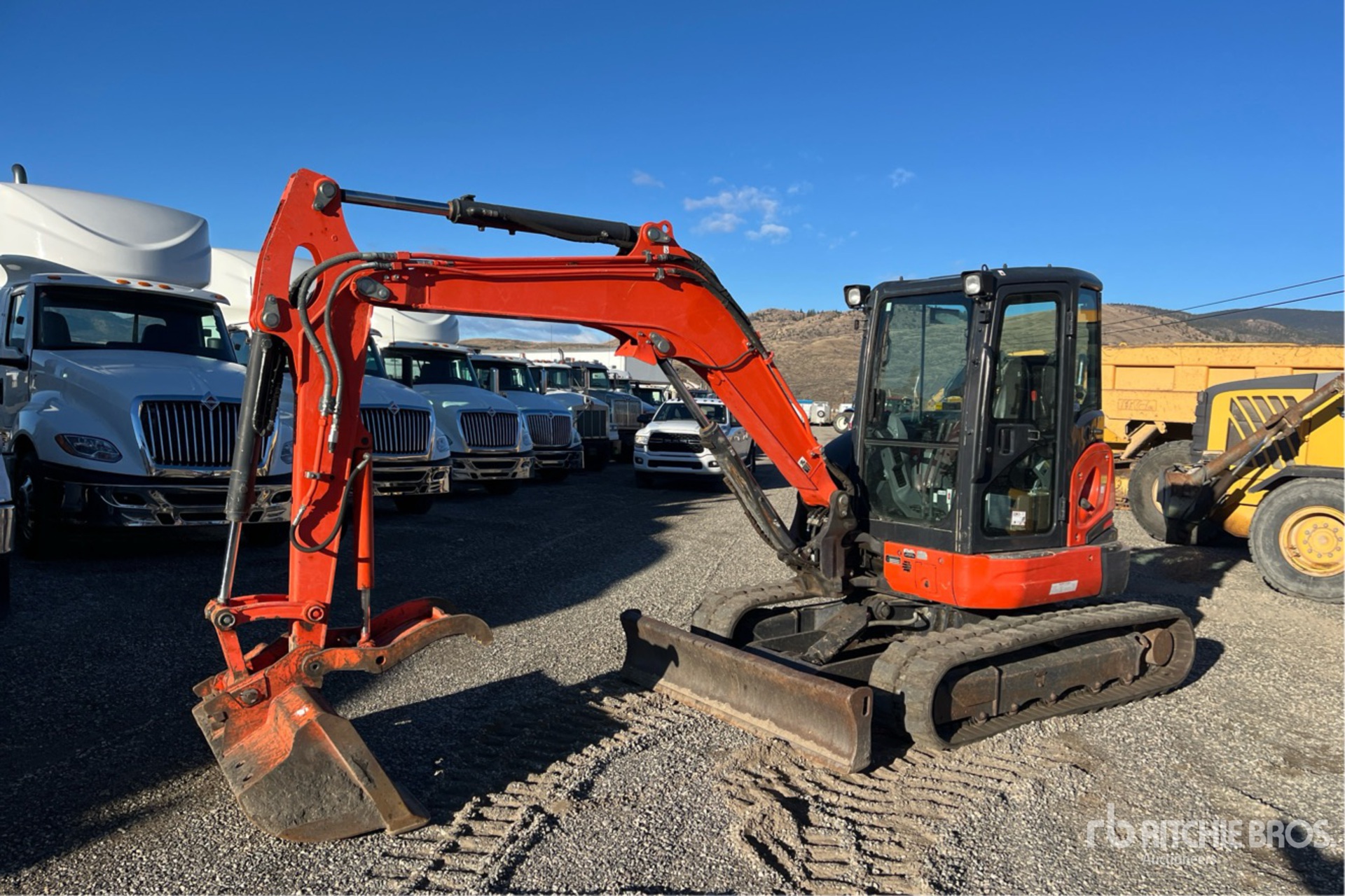 General Appearance with Spin