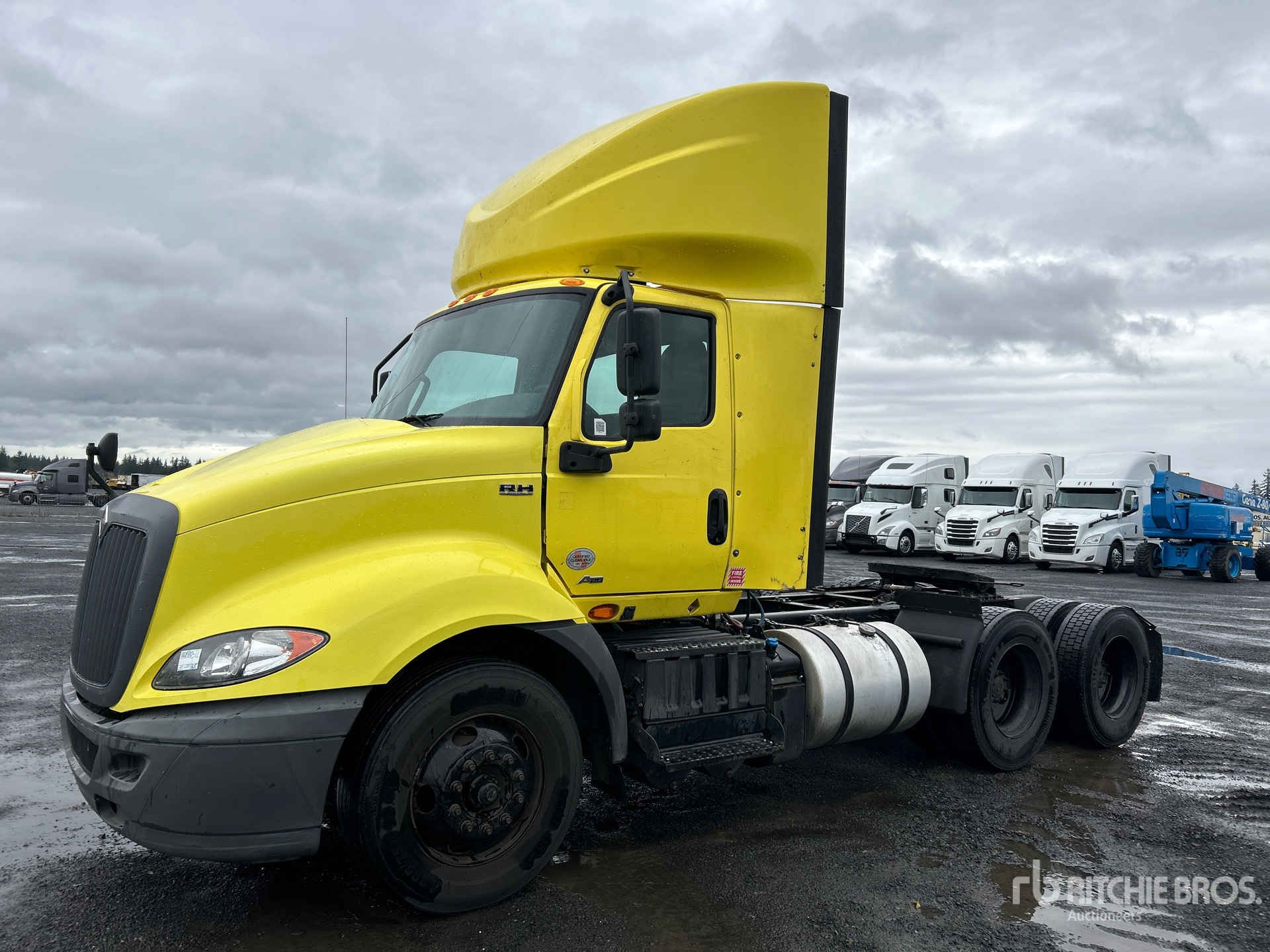 General Appearance with Spin