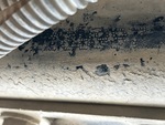 General Appearance with Second Serial Number/VIN Photo