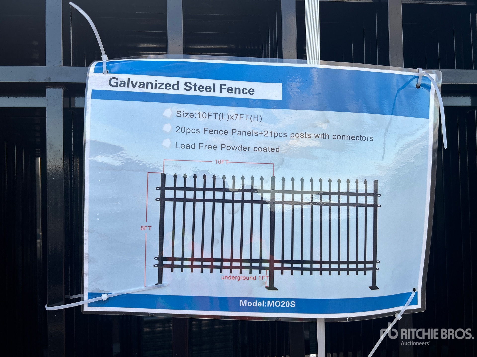 General Appearance with 