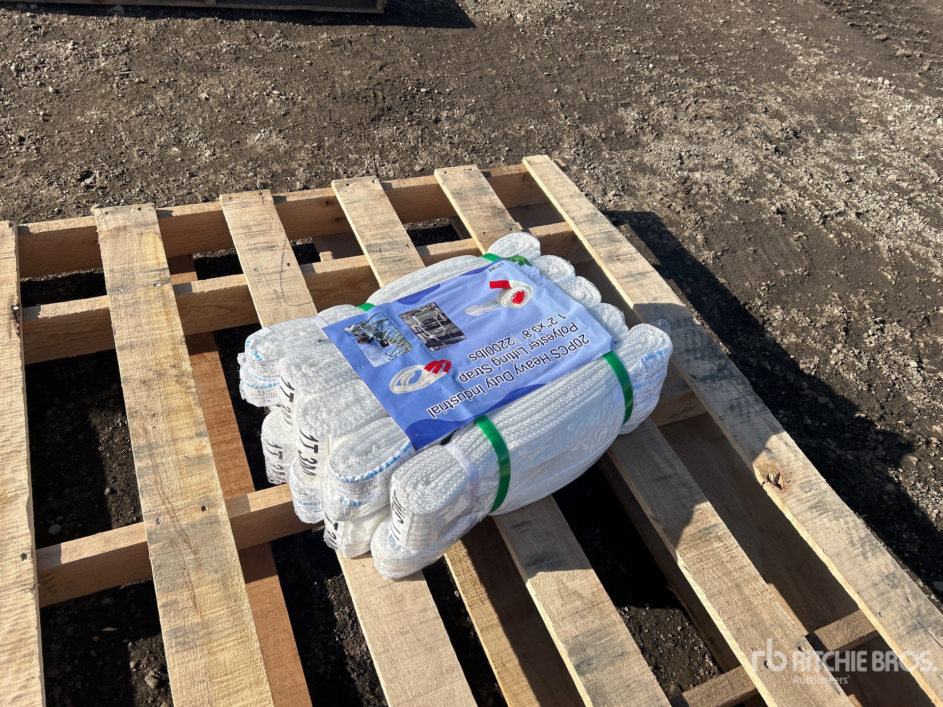 General Appearance with Image, coin arrière droit