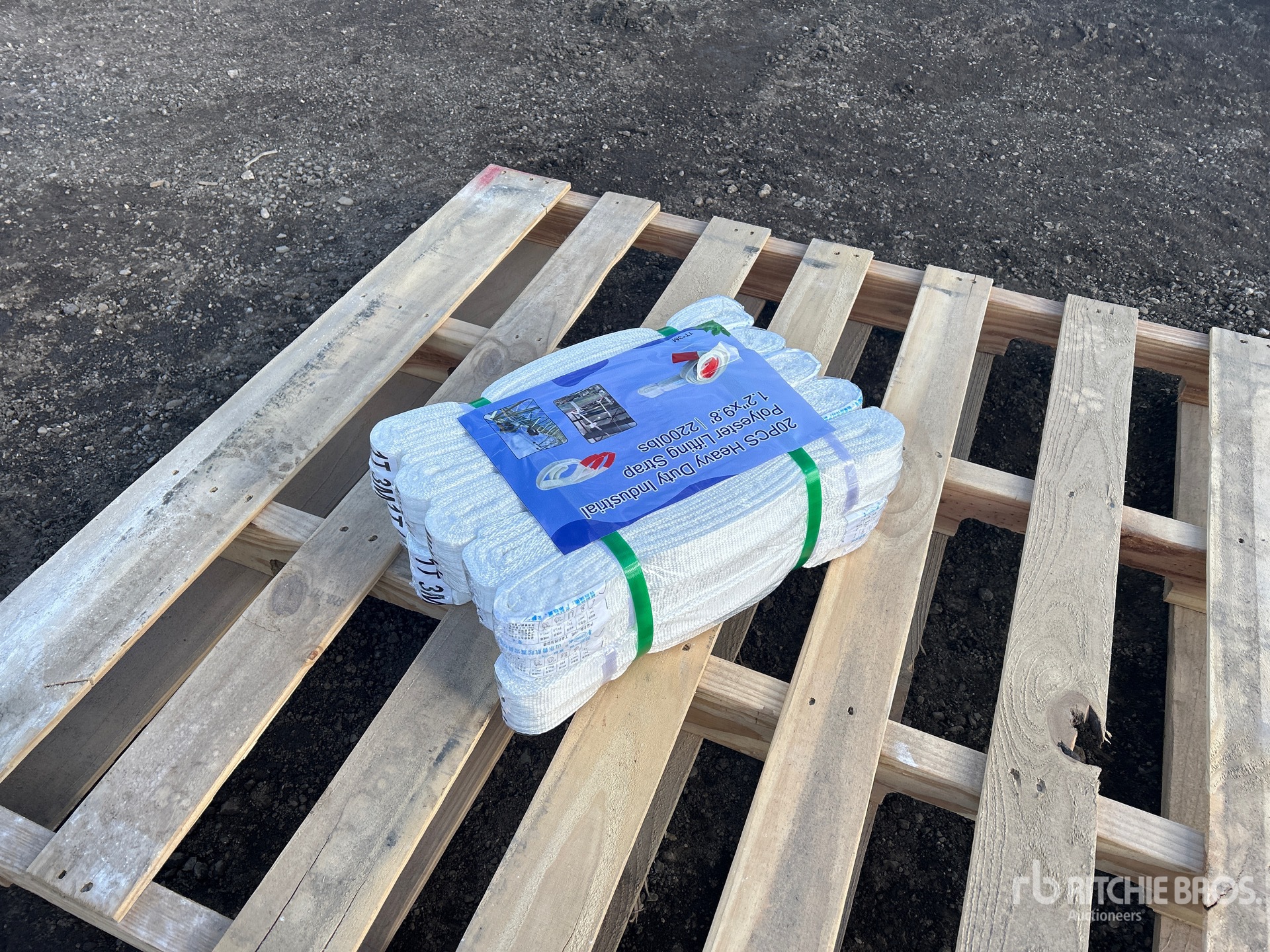 General Appearance with Image, coin arrière droit