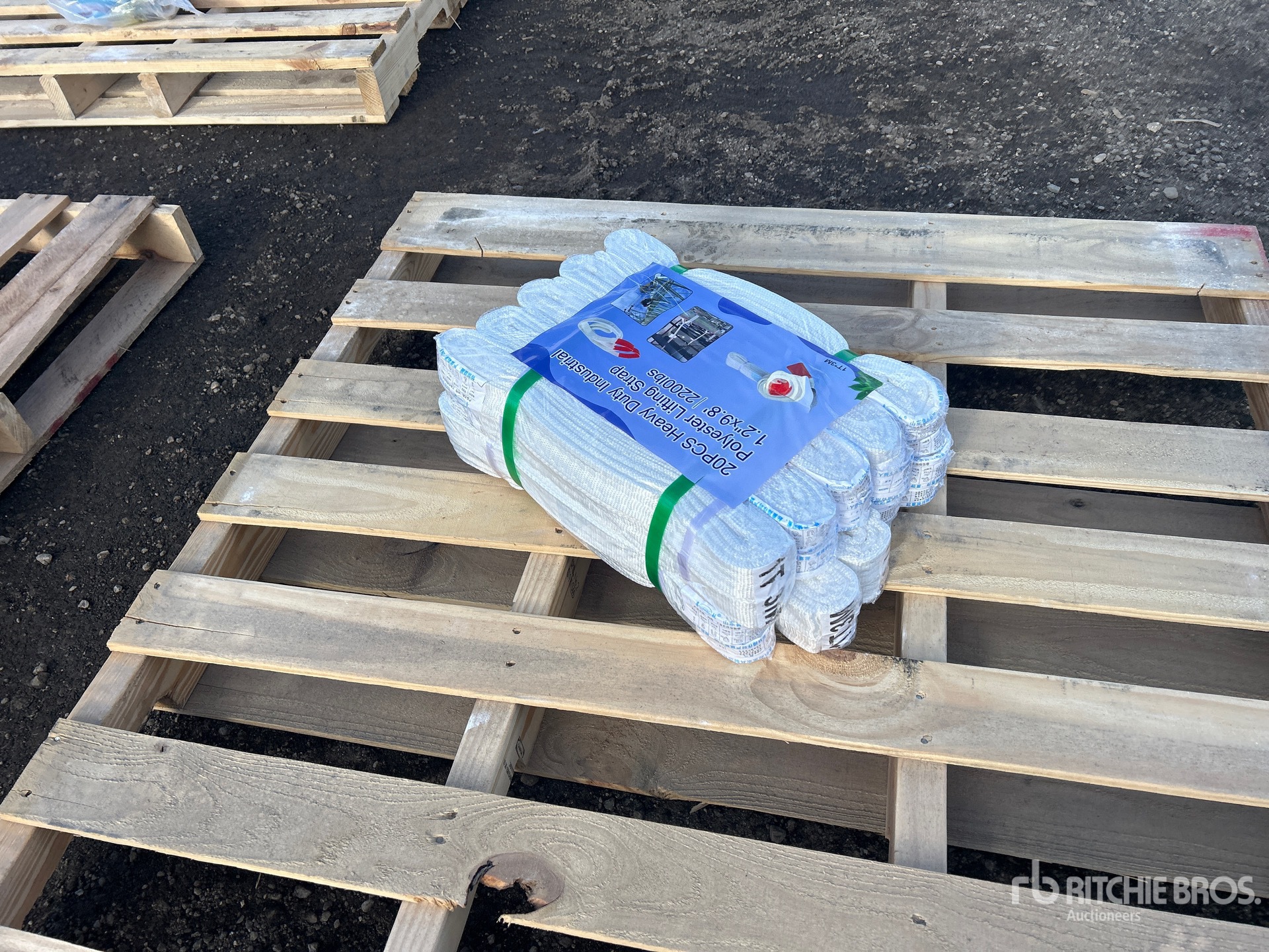 General Appearance with Image, coin arrière gauche