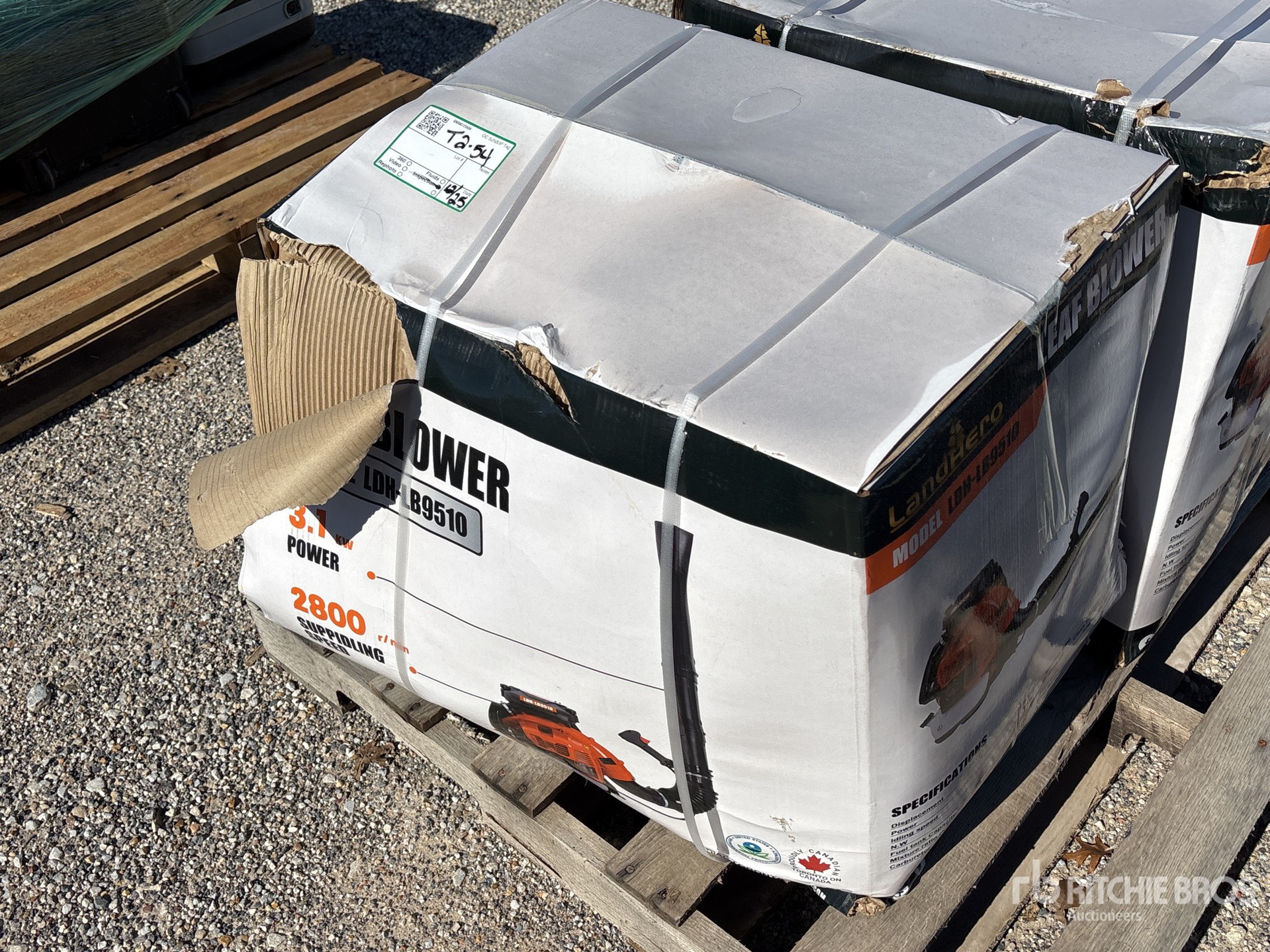 General Appearance with Picture, Left Front Corner