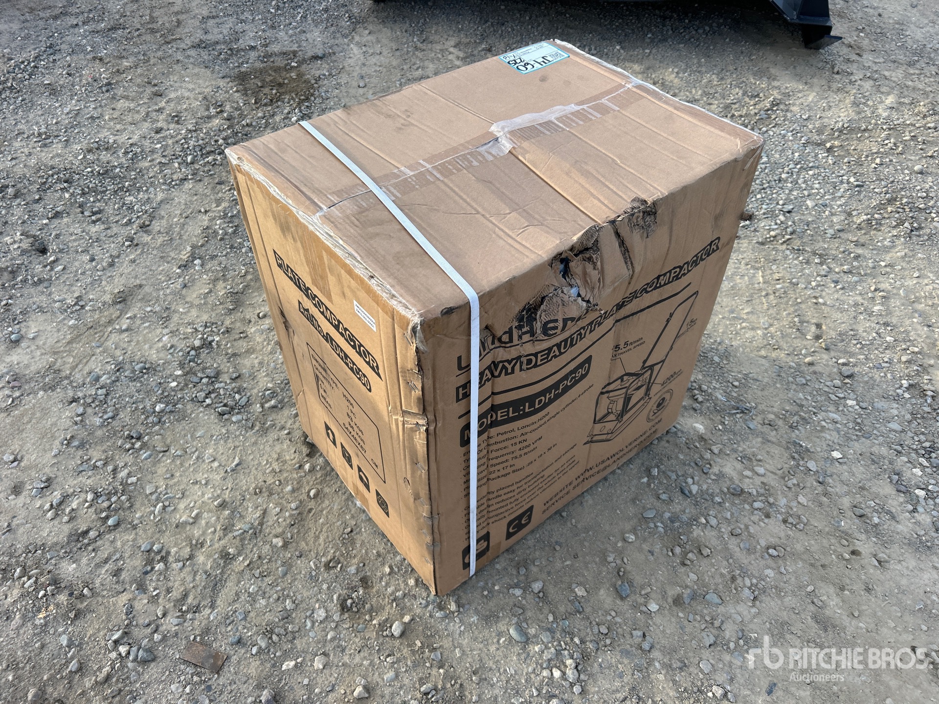 General Appearance with Picture, Left Rear Corner