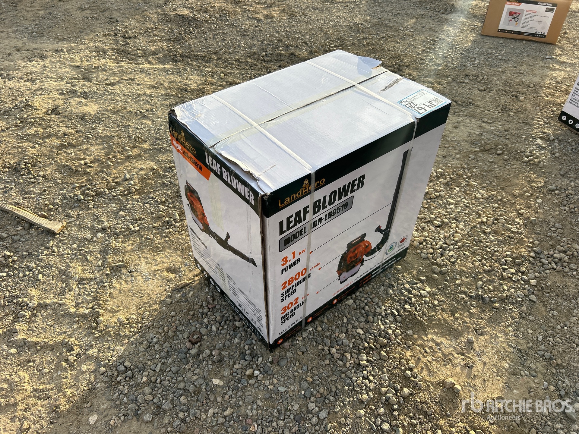 General Appearance with Picture, Left Rear Corner