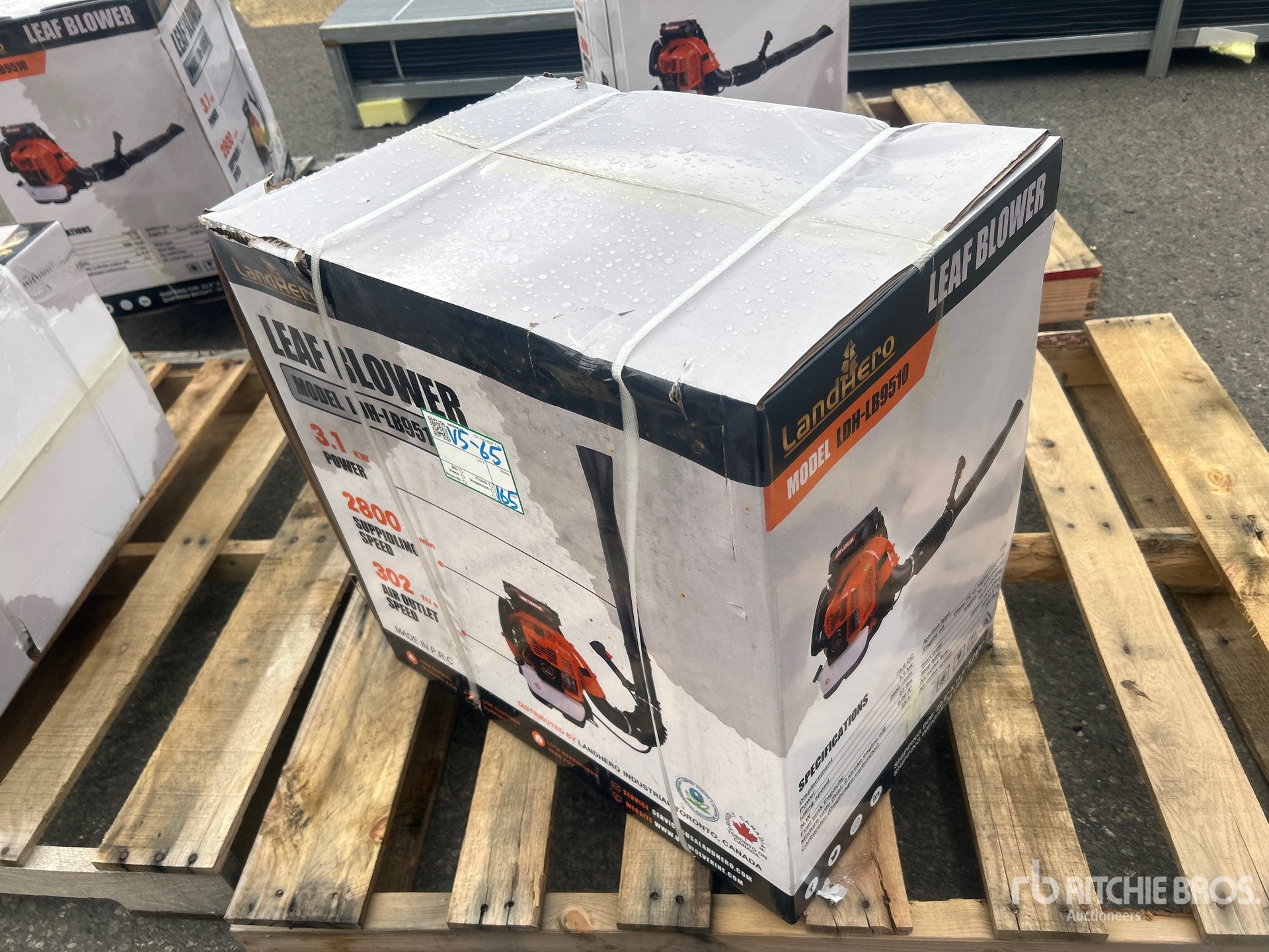 General Appearance with Picture, Left Rear Corner