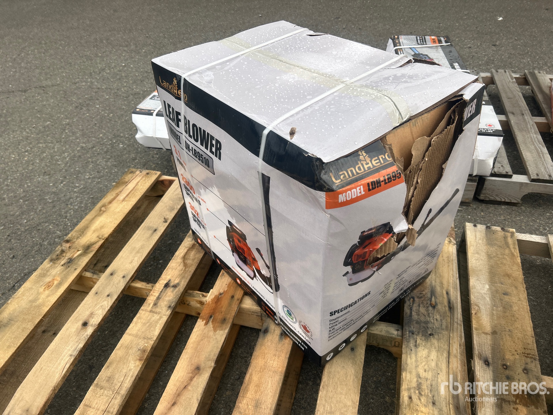 General Appearance with Picture, Right Front Corner