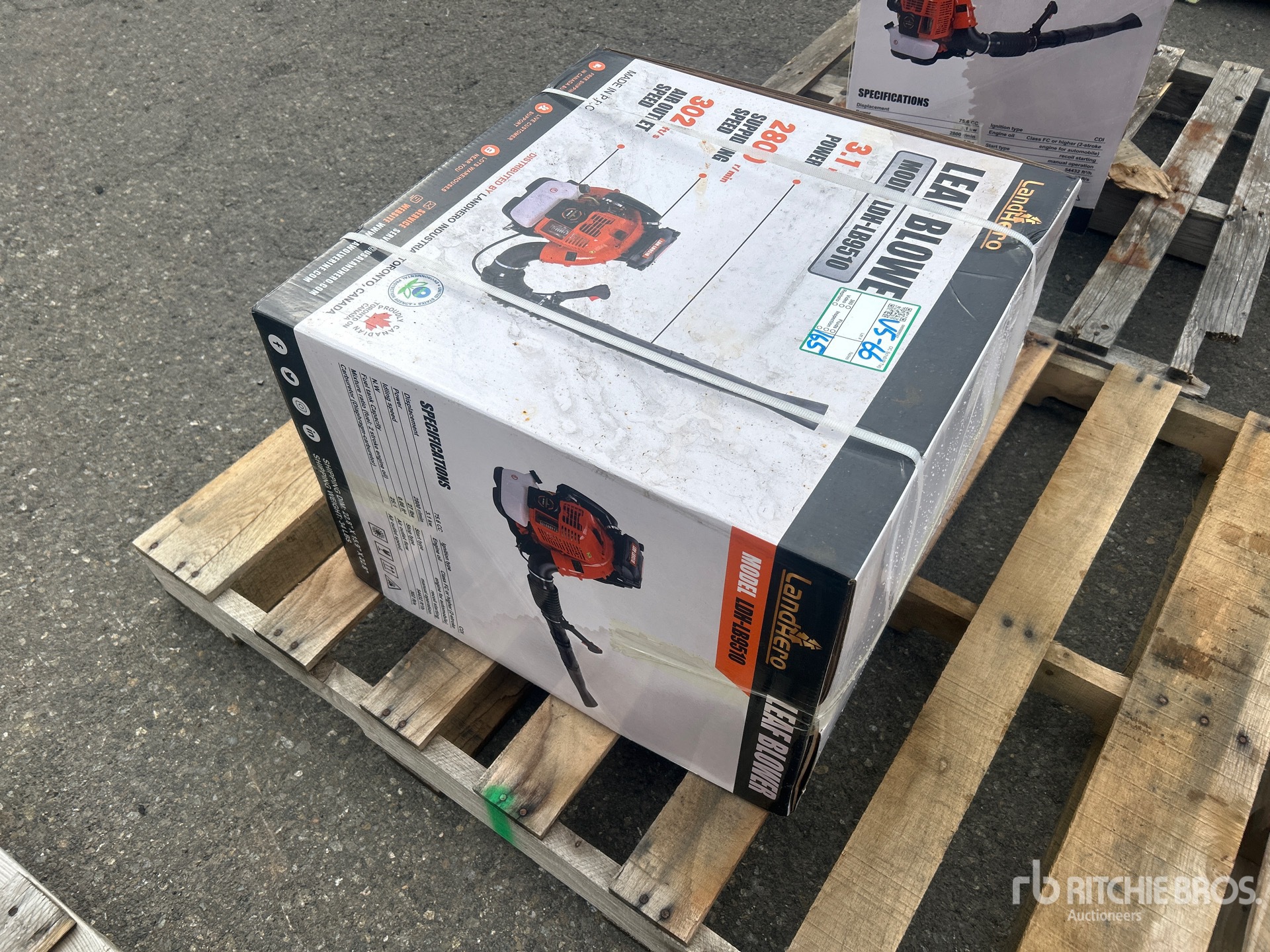 General Appearance with Picture, Right Rear Corner