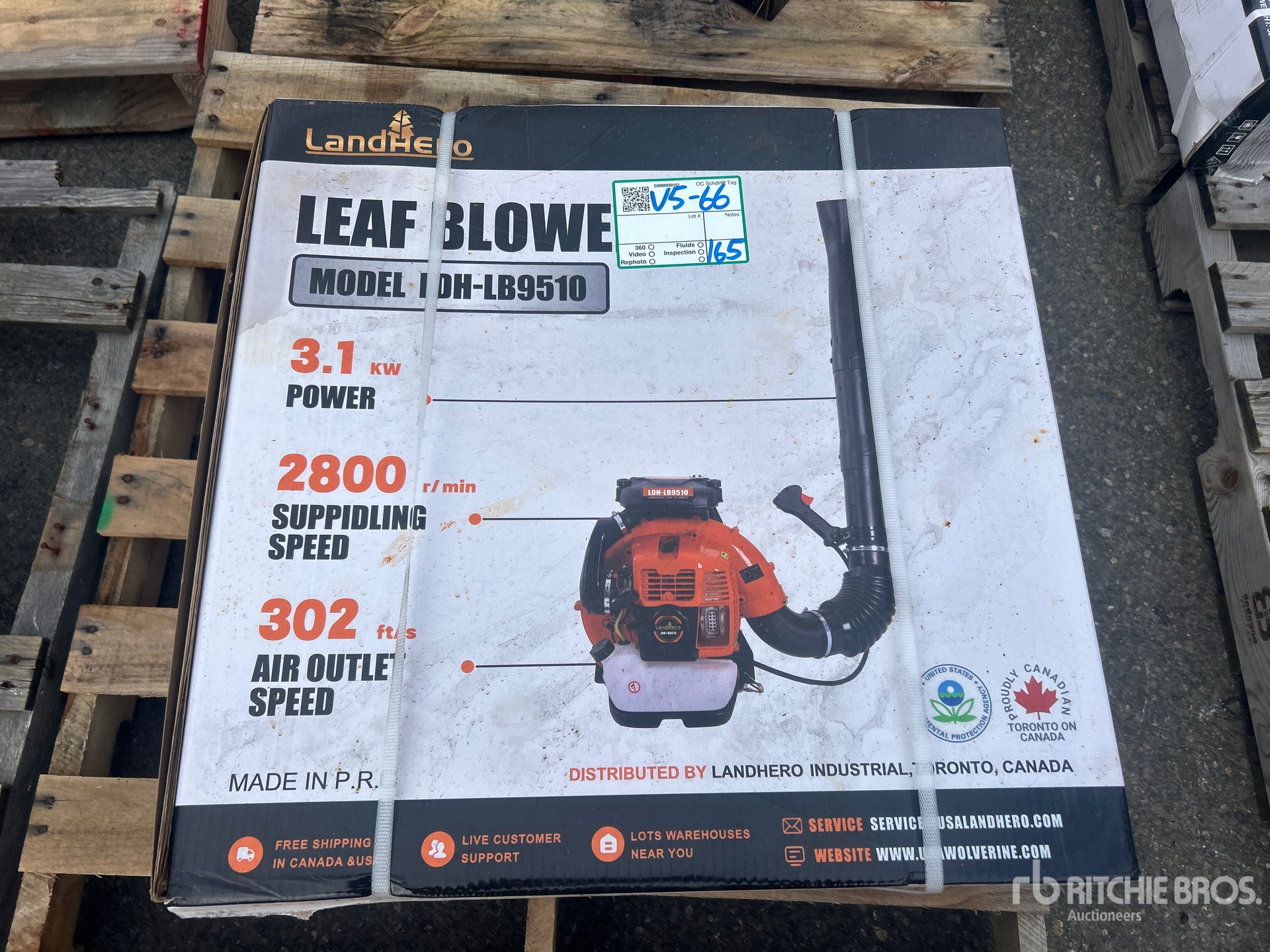 General Appearance with Featured Photo