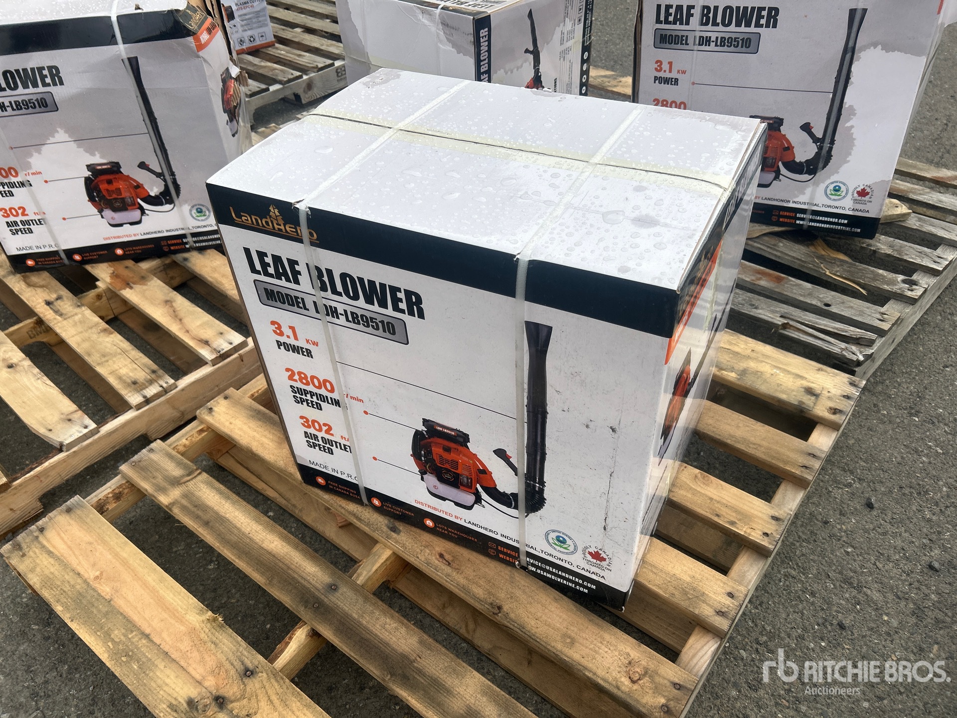 General Appearance with Picture, Left Rear Corner