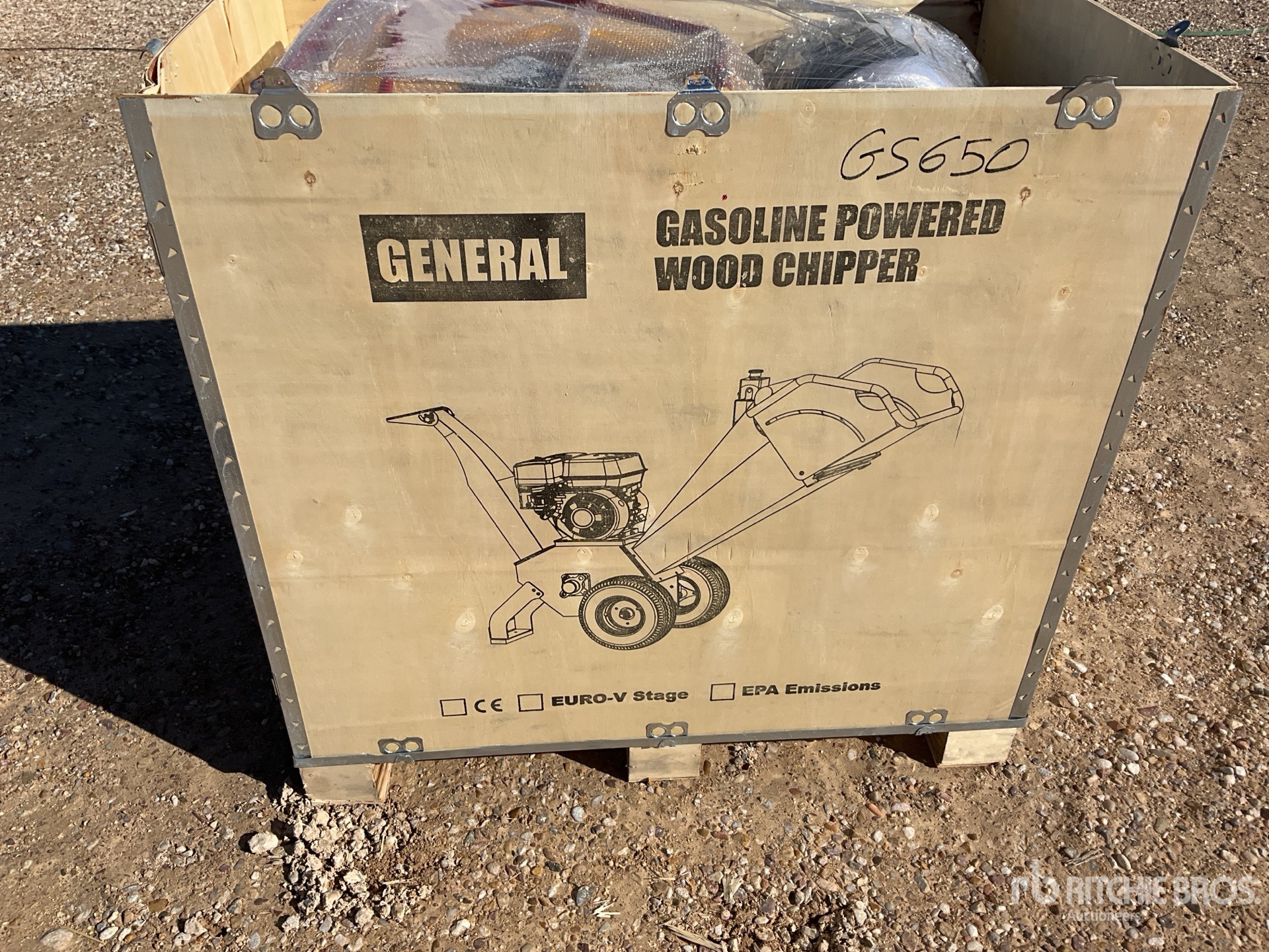 General Appearance with 