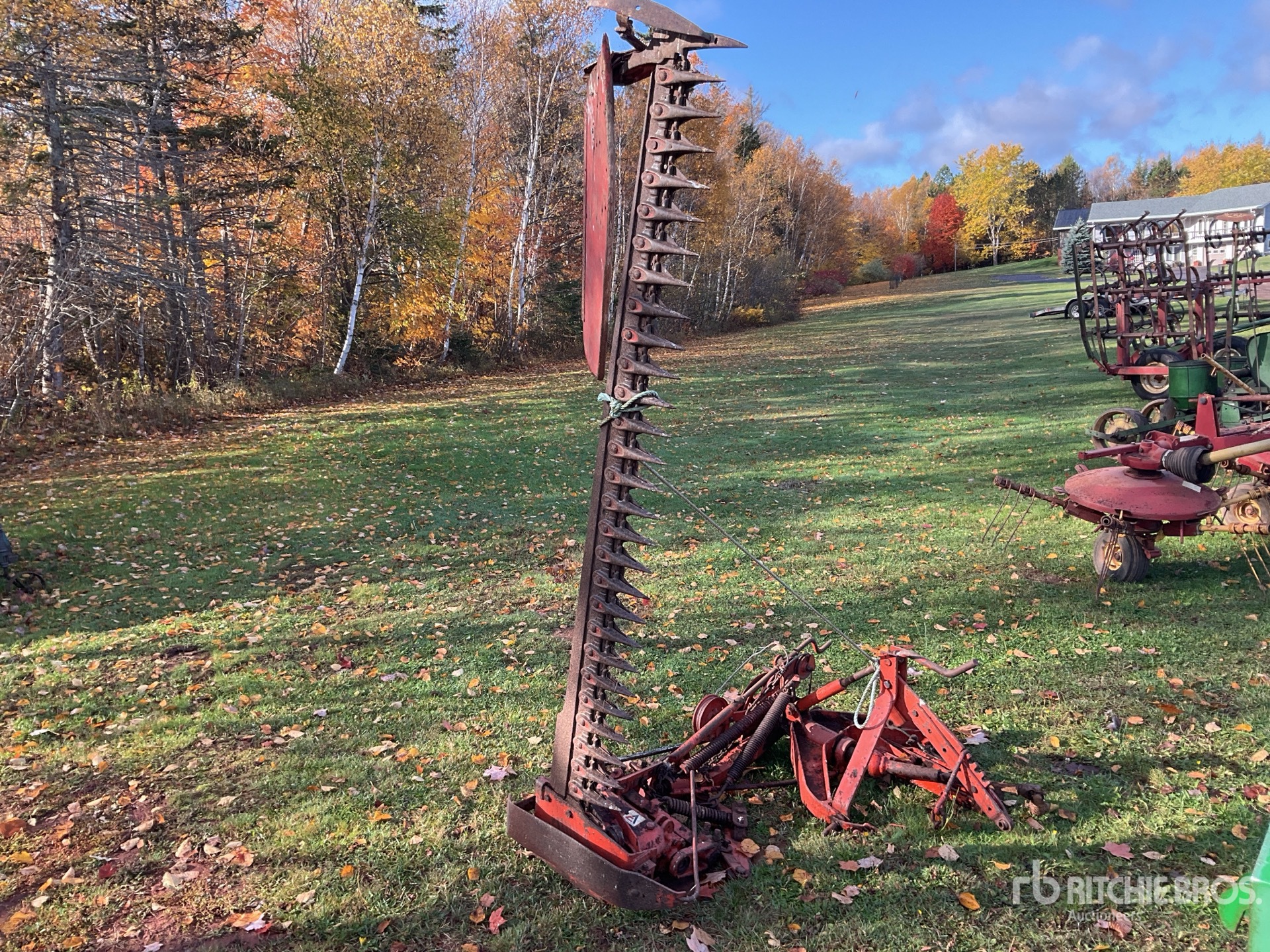General Appearance with Bild, Ecke vorne rechts