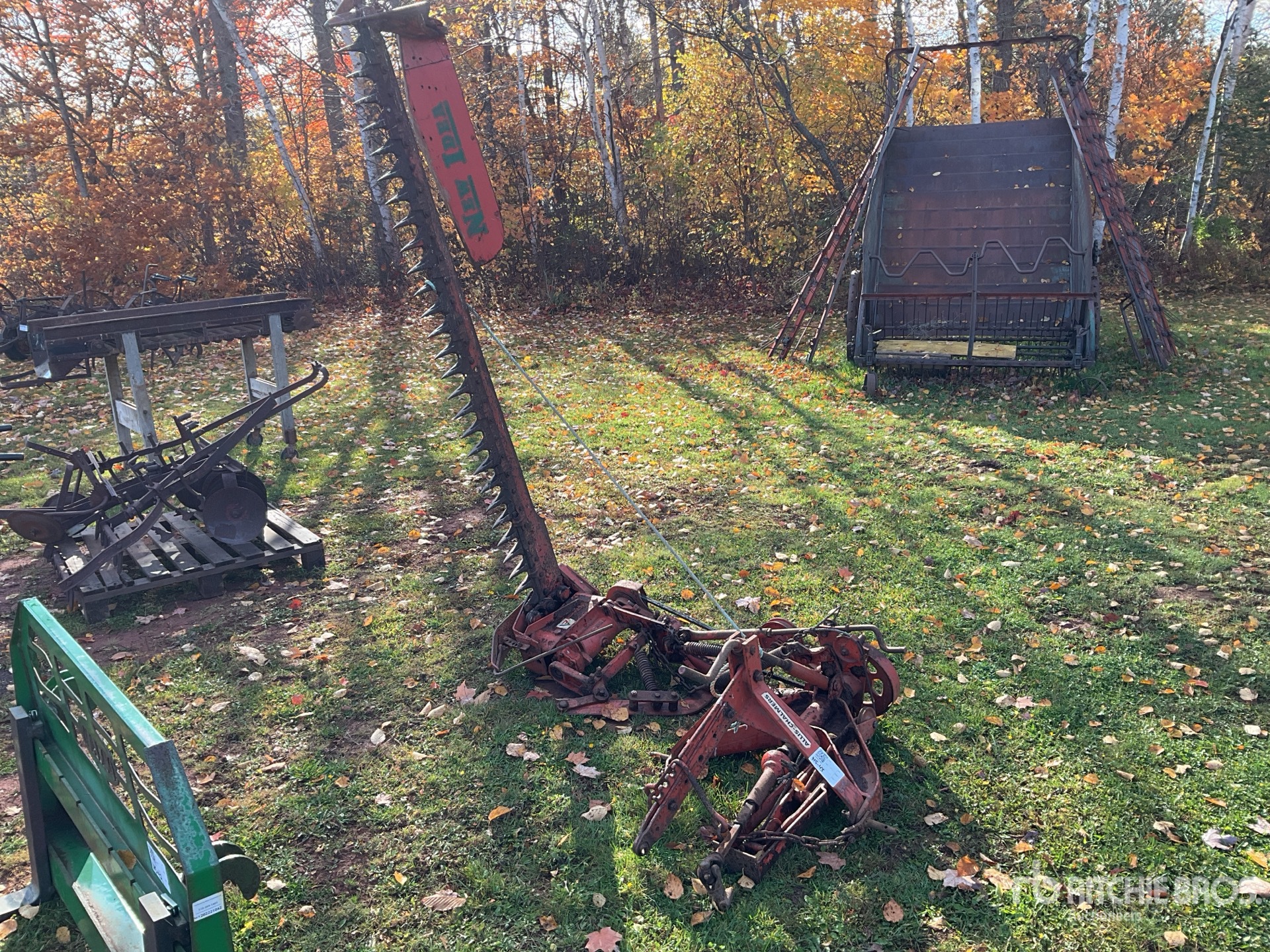 General Appearance with Bild, Ecke vorne links