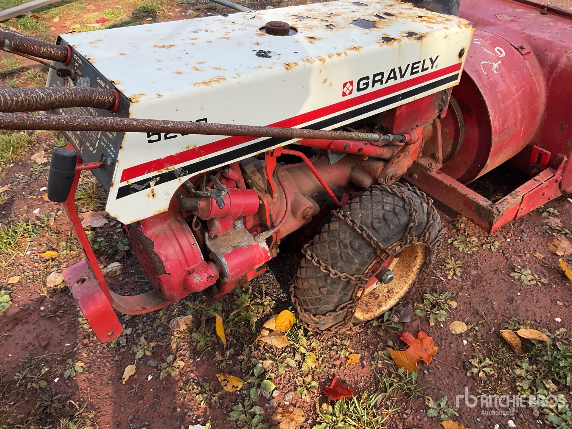 General Appearance with 