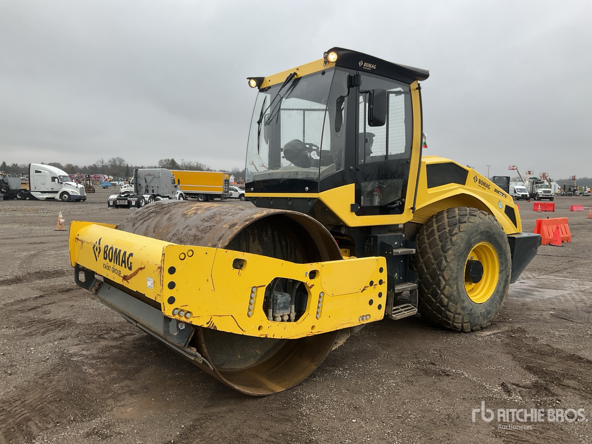 General Appearance with Spin