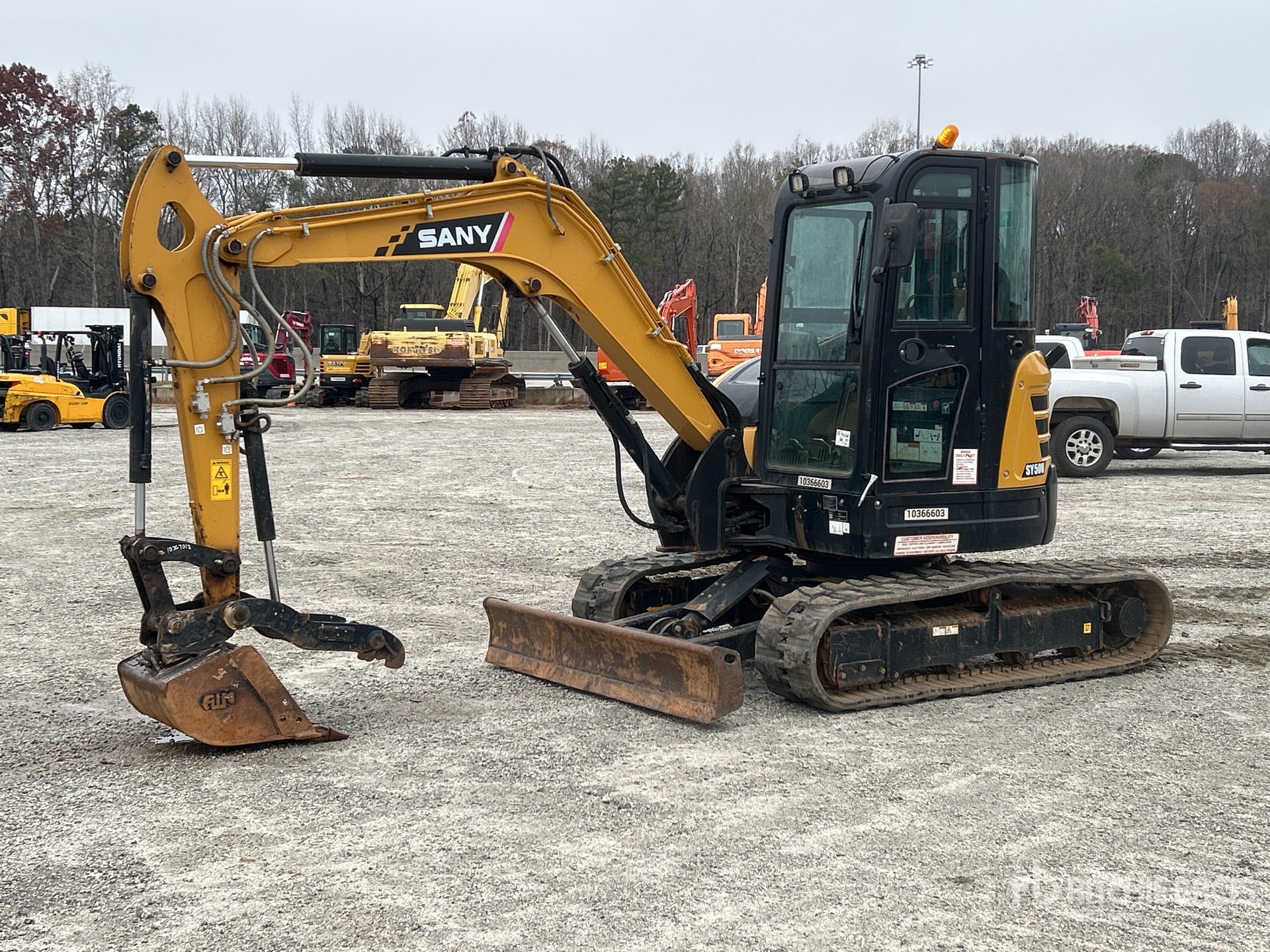 General Appearance with Spin