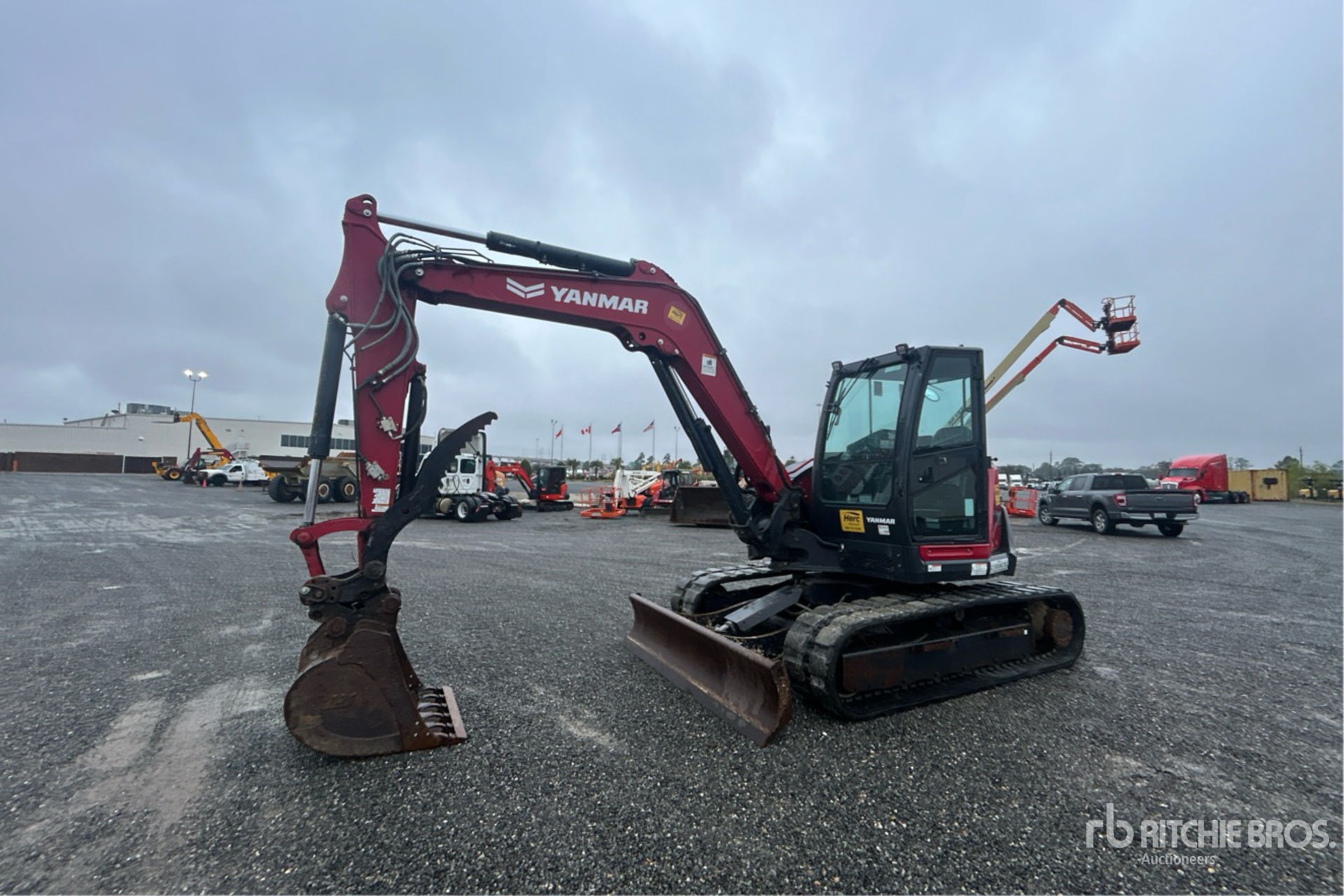 General Appearance with Spin