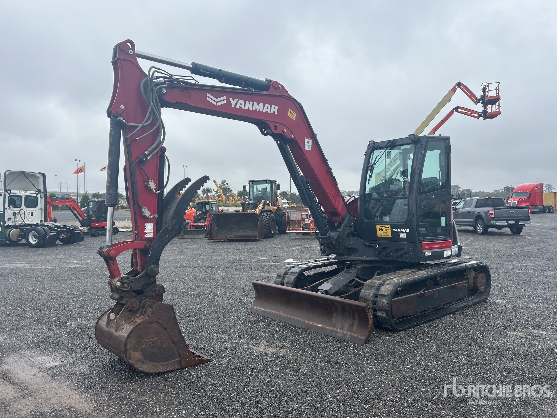 General Appearance with Spin