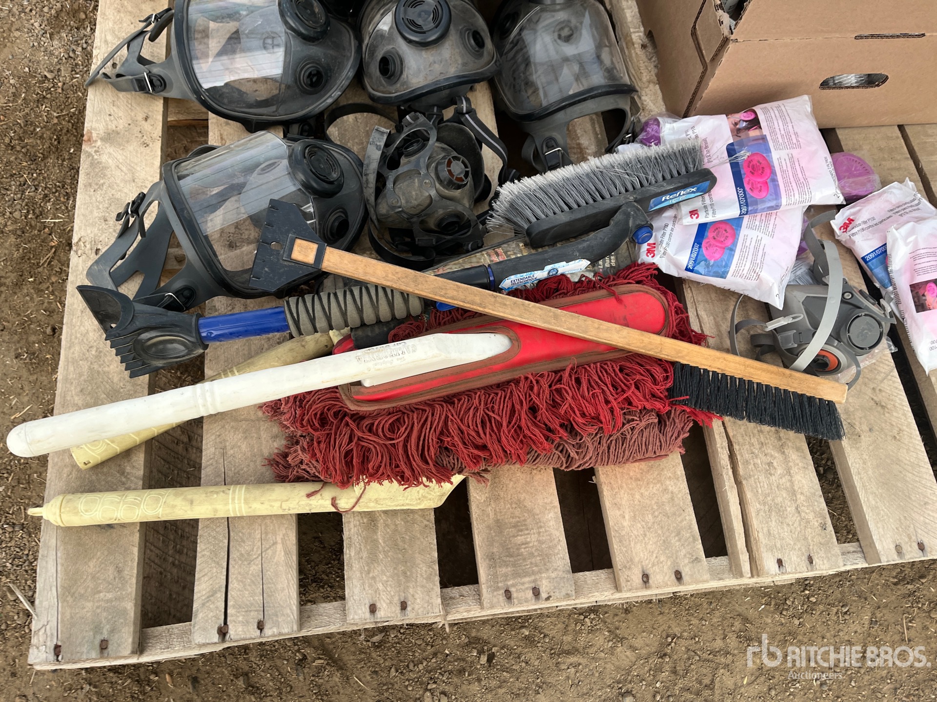 General Appearance with 