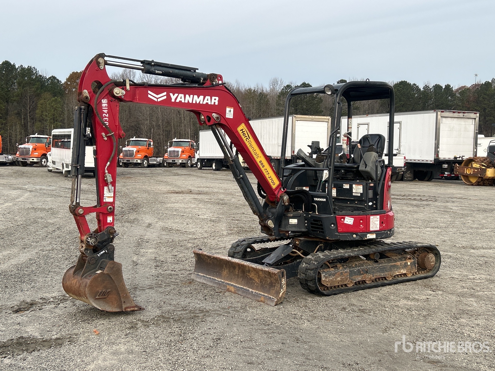 General Appearance with Spin