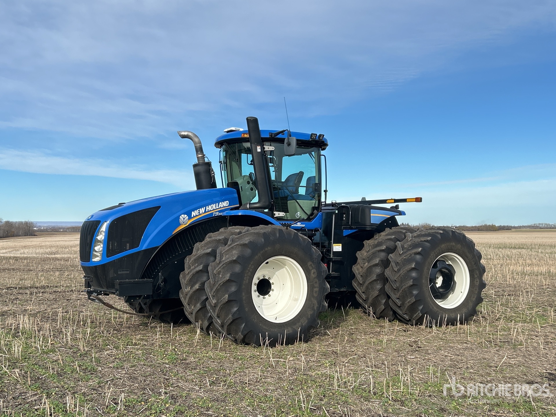 General Appearance with Spin