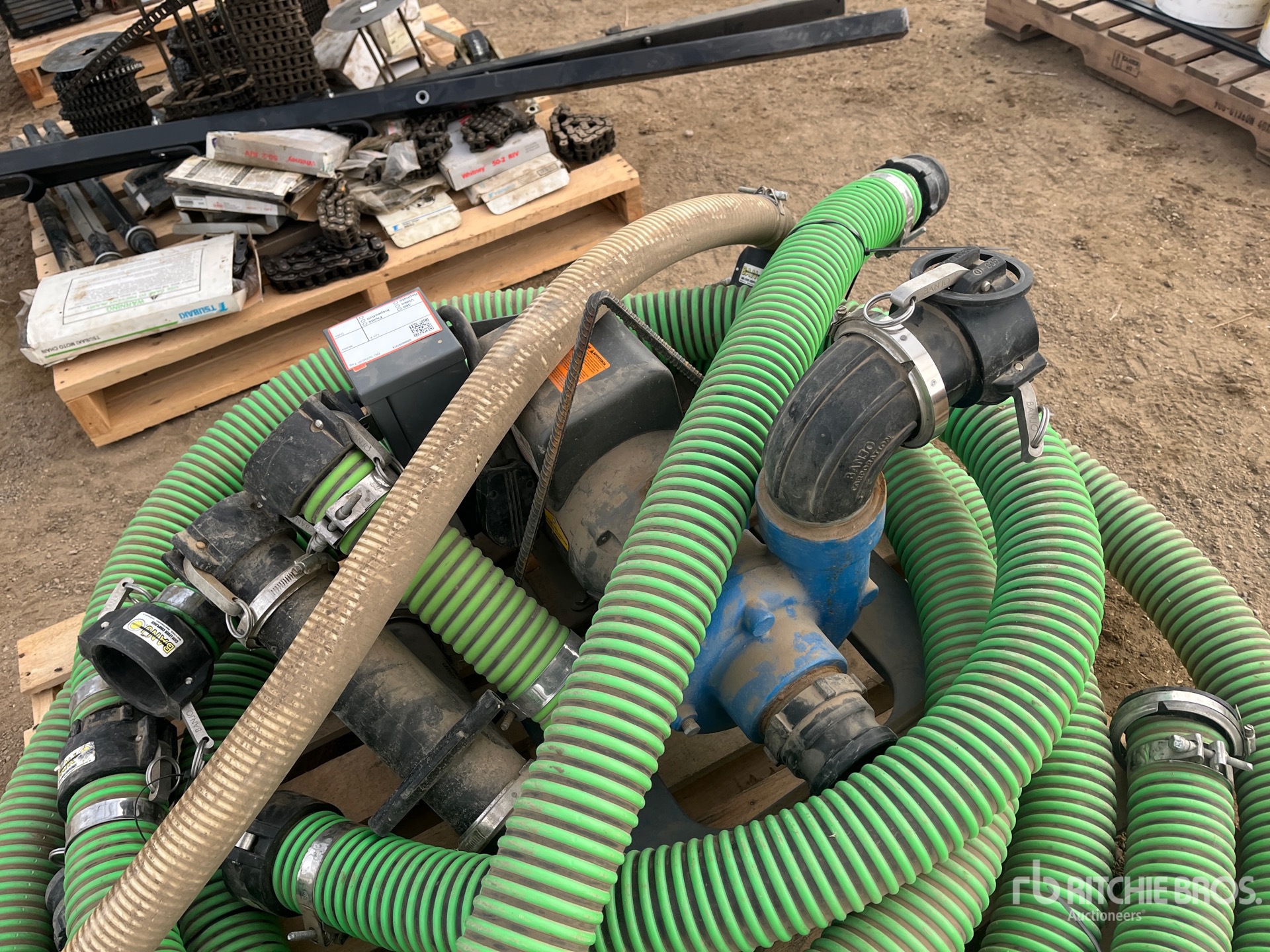 General Appearance with 