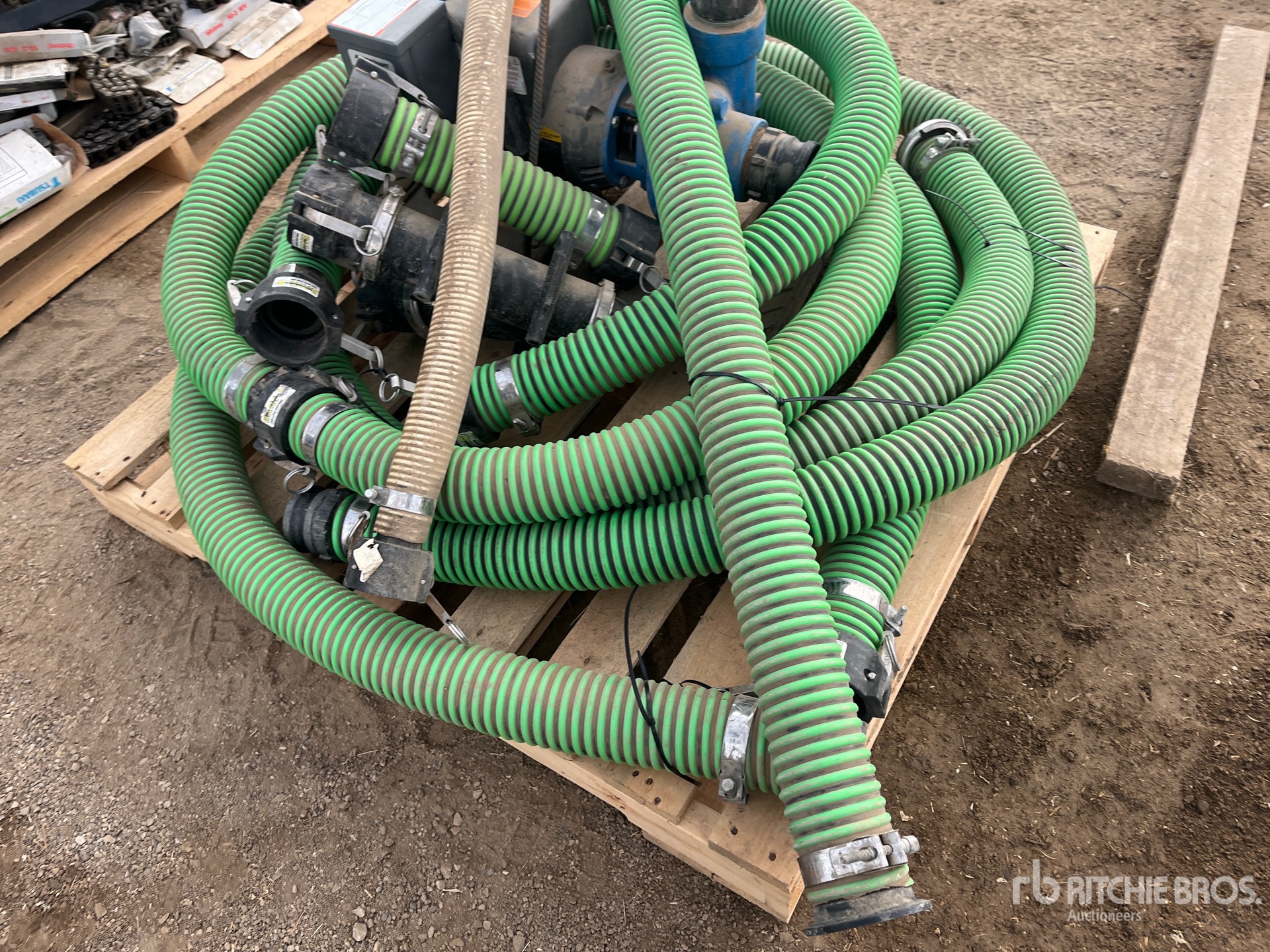 General Appearance with 