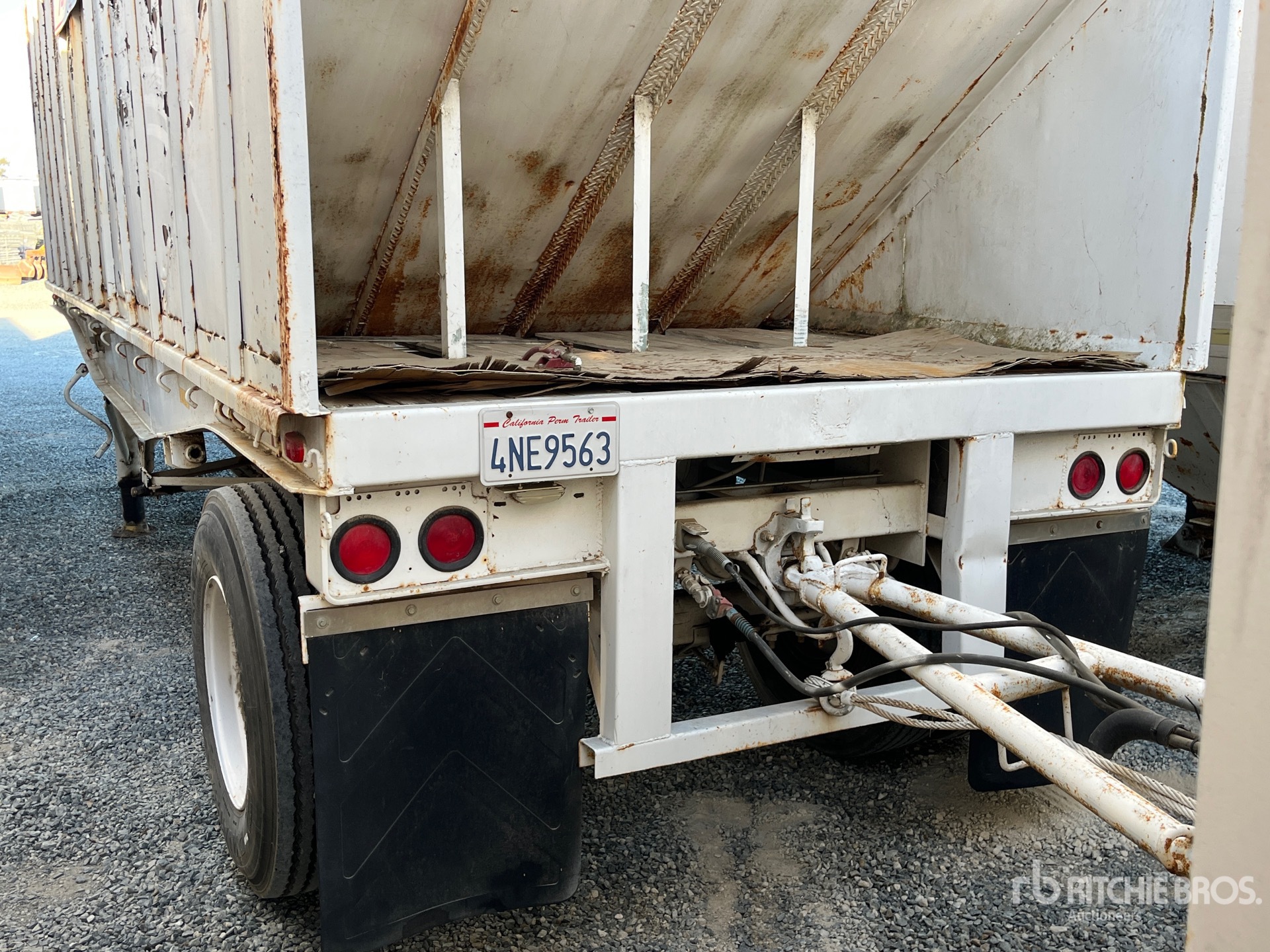 General Appearance with Foto, angolo posteriore sinistro