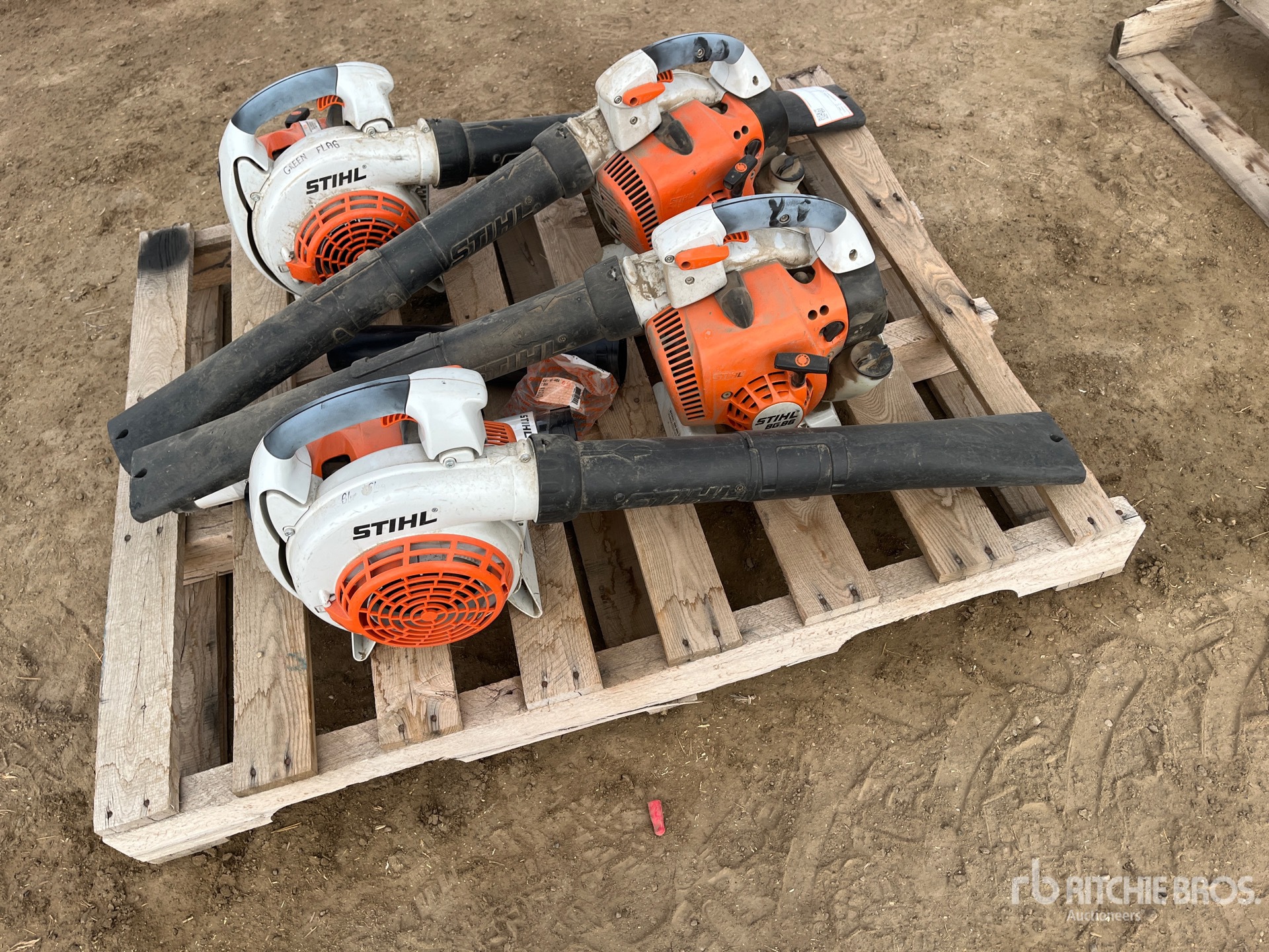 General Appearance with 