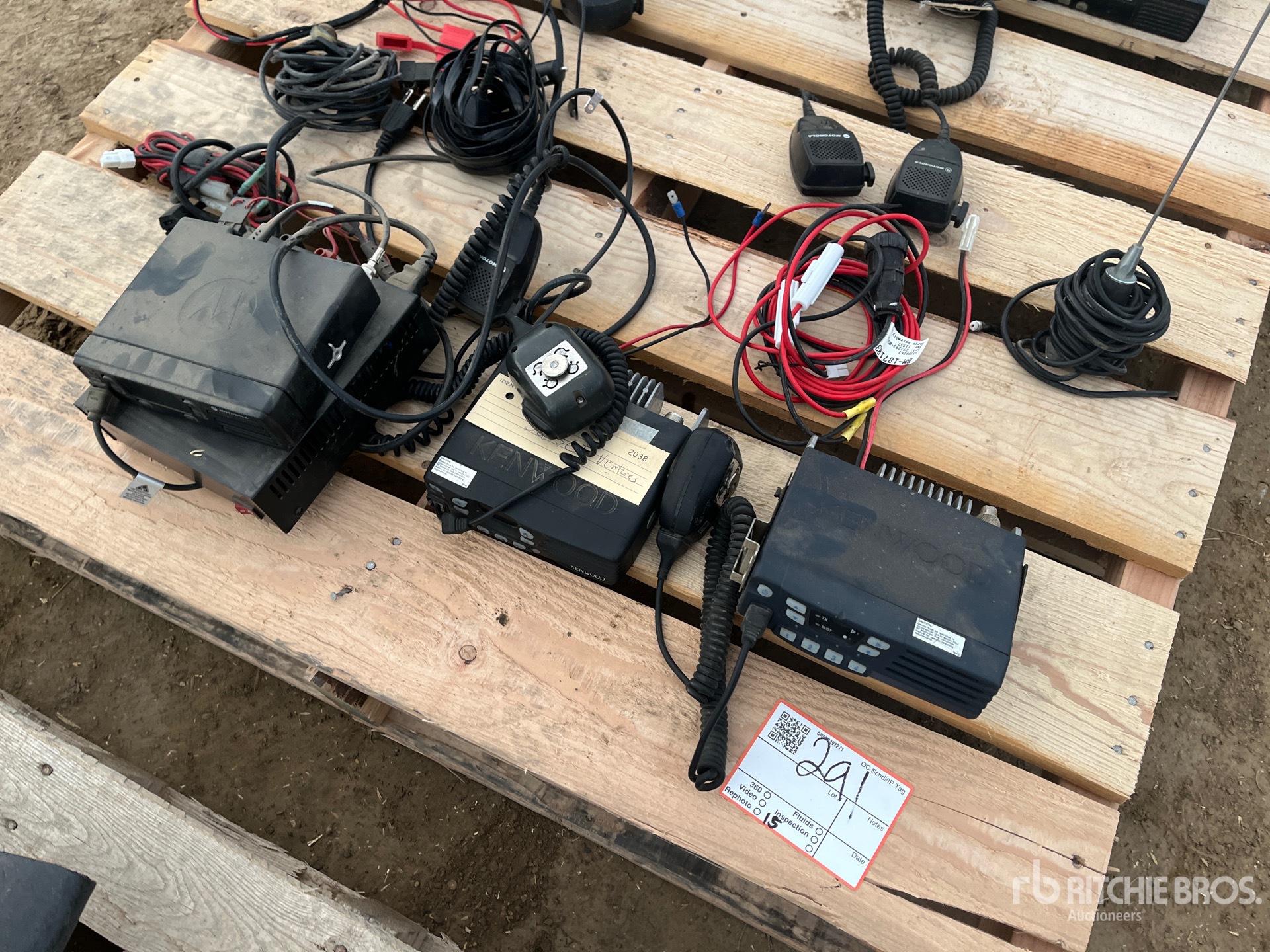 General Appearance with 