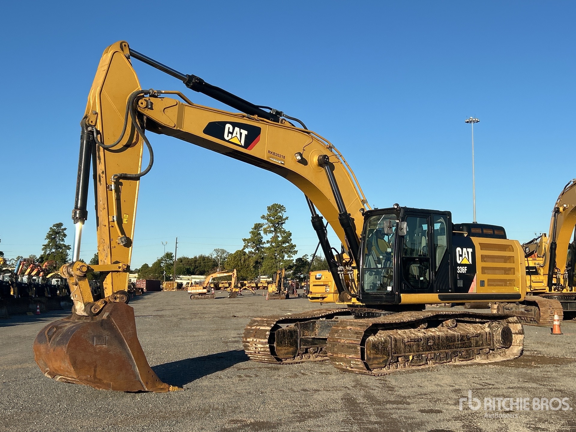 General Appearance with Spin