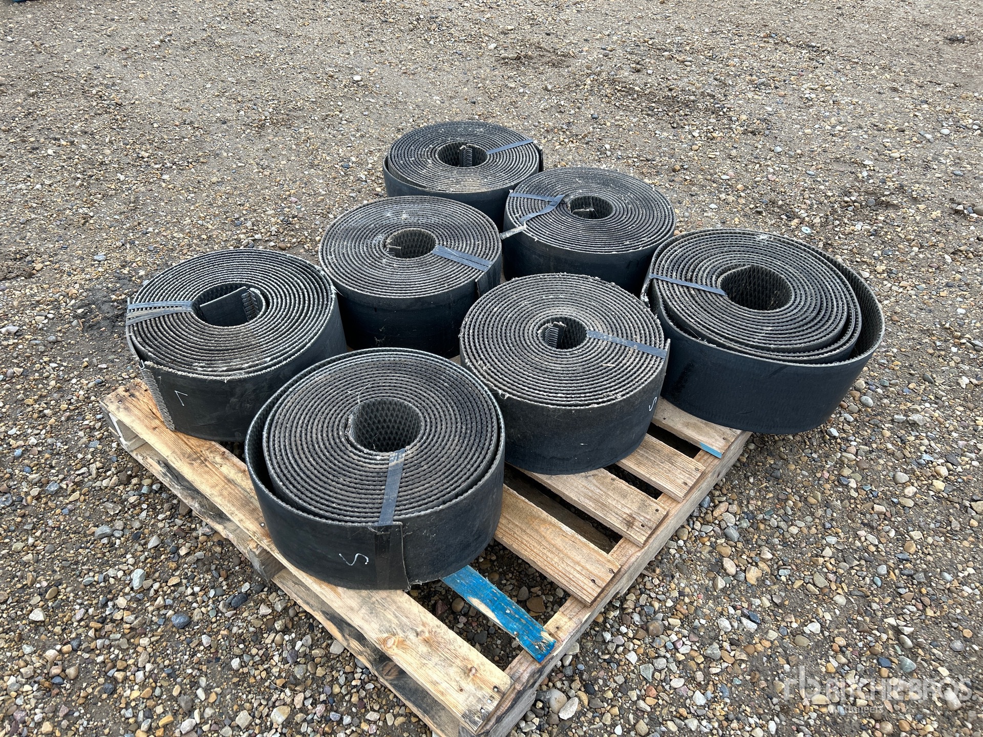 General Appearance with Image, coin arrière droit