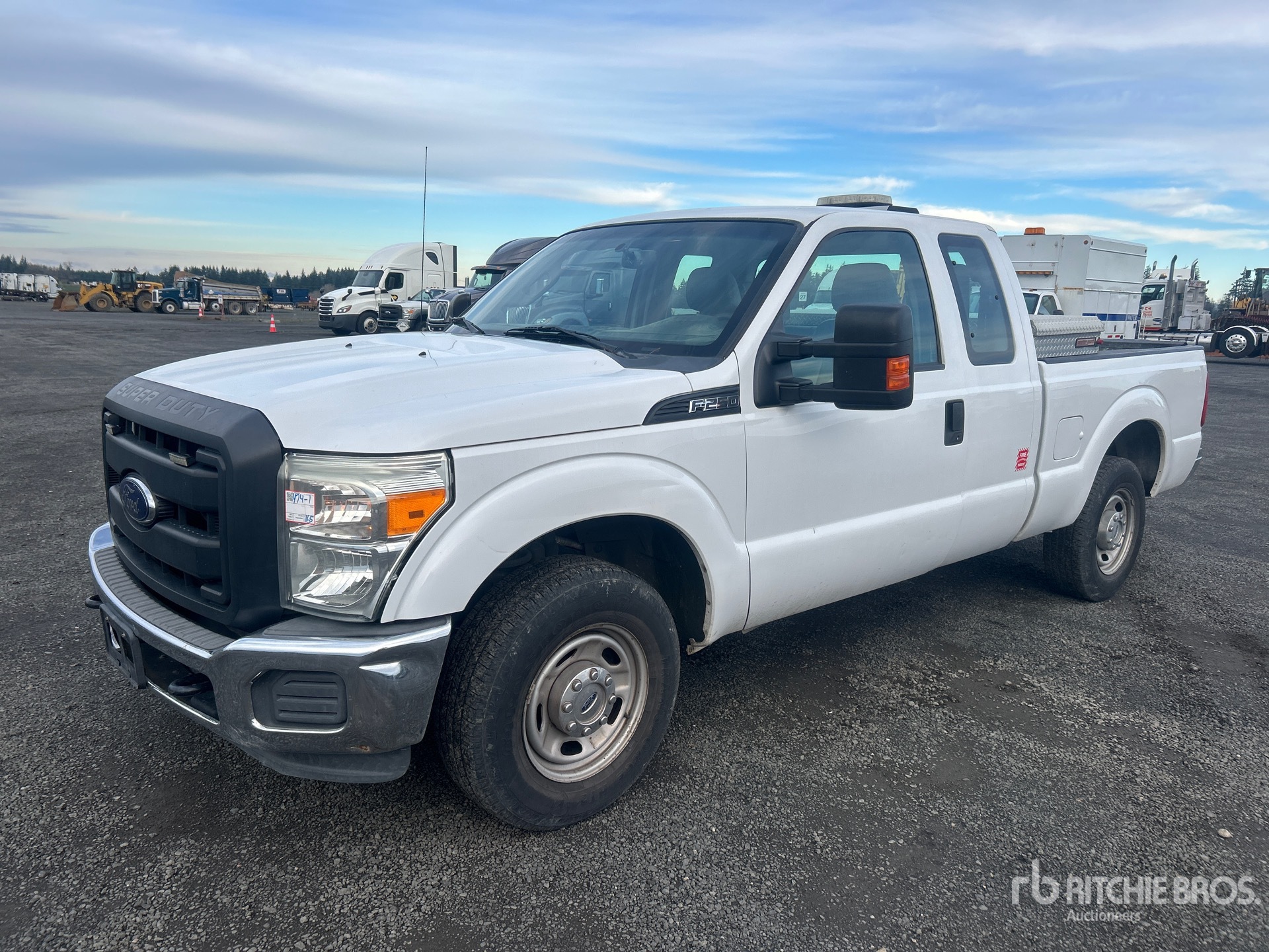 General Appearance with Spin