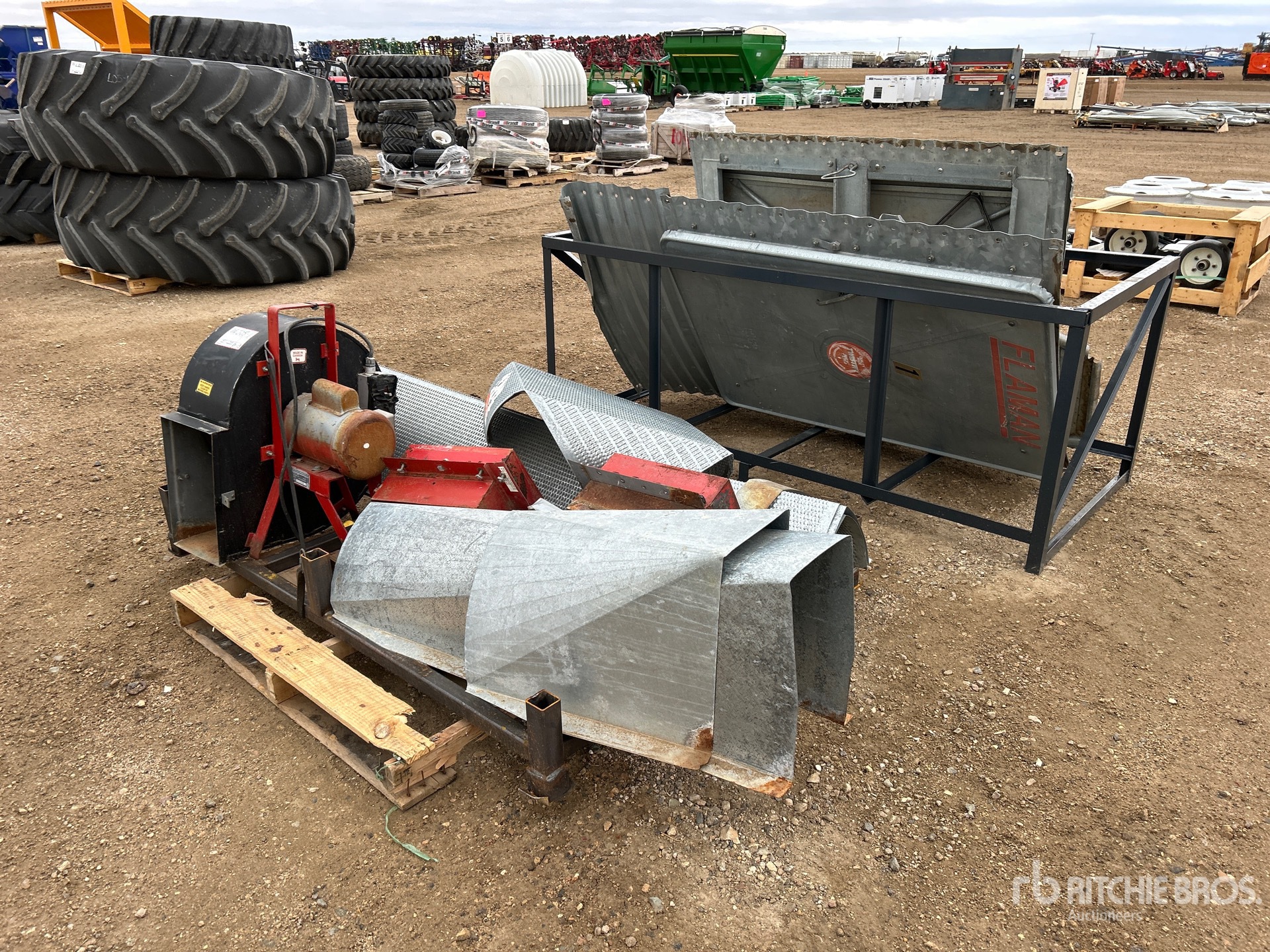 General Appearance with Zdjęcie, lewy dolny róg