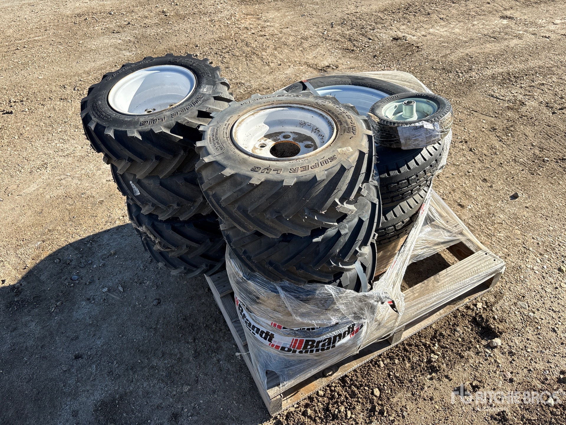 General Appearance with 