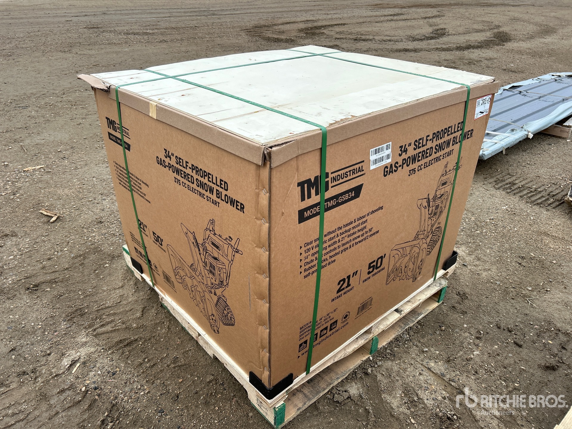 General Appearance with Picture, Right Front Corner