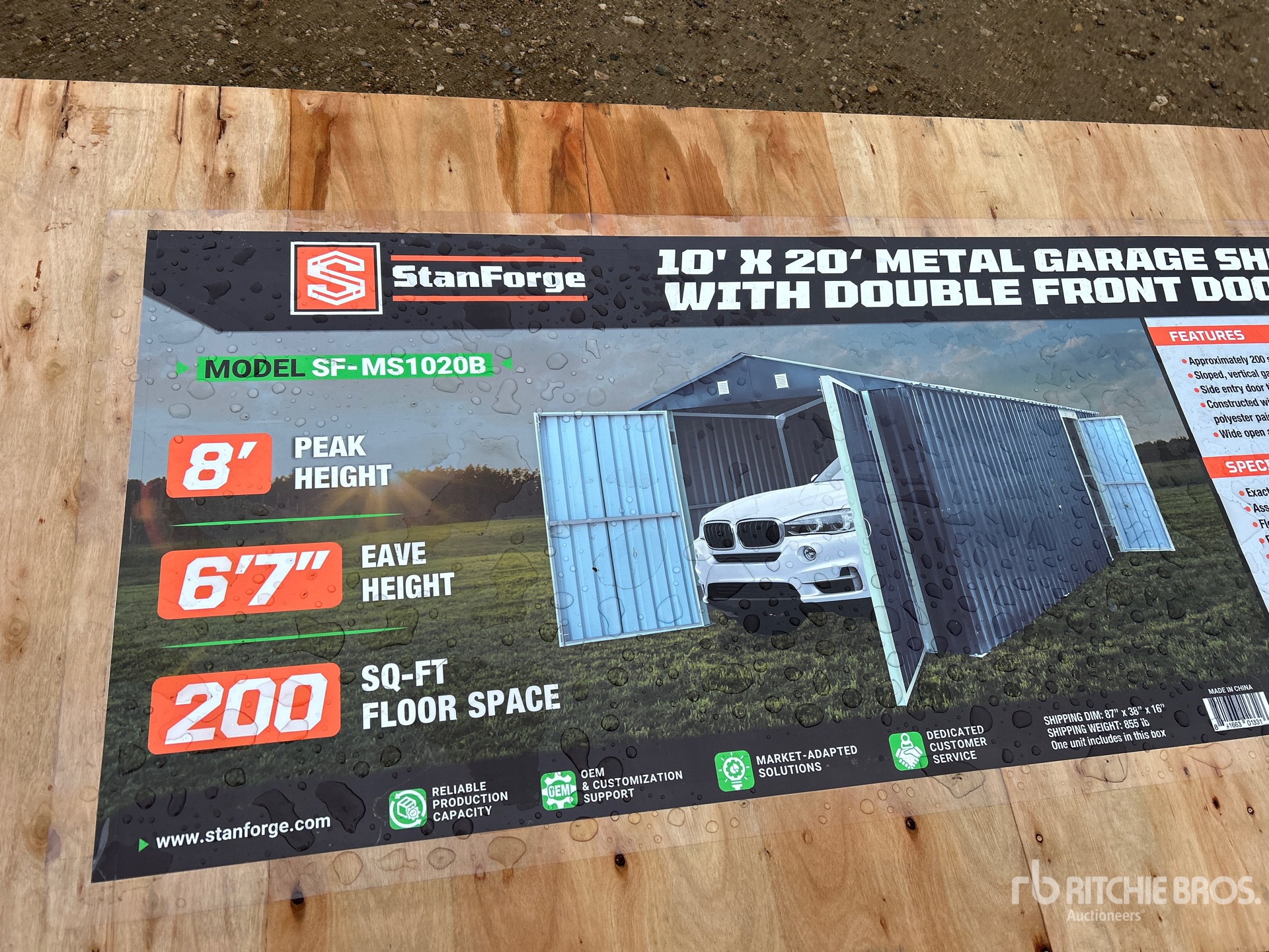 General Appearance with 