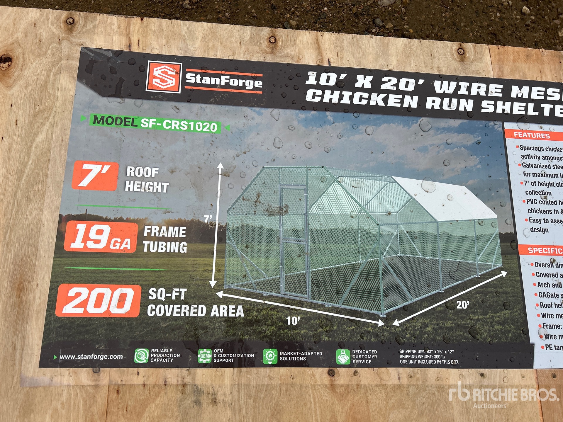 General Appearance with 