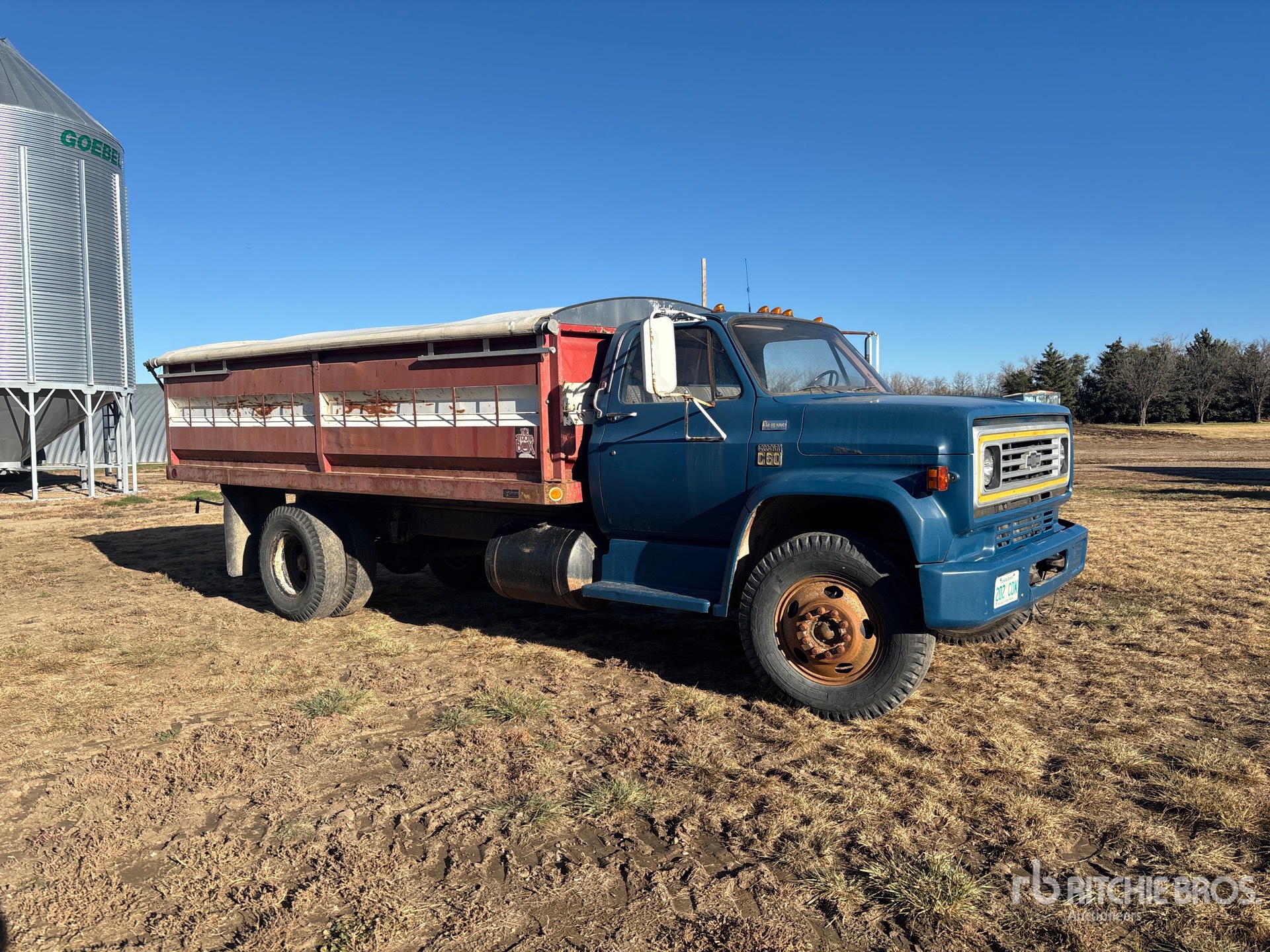 General Appearance with Foto, angolo anteriore destro